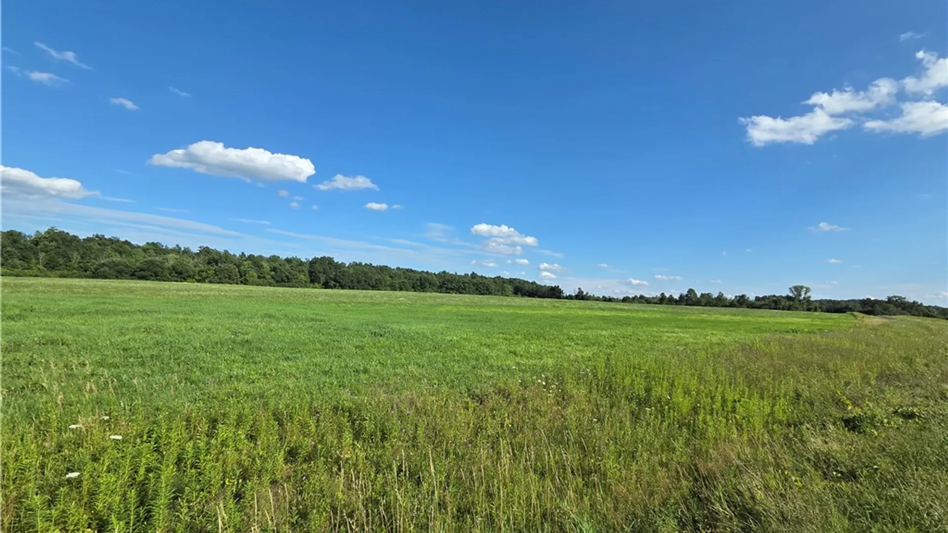 Property at 4655 Bailey Hill Road, Tyrone, NY 14837 7