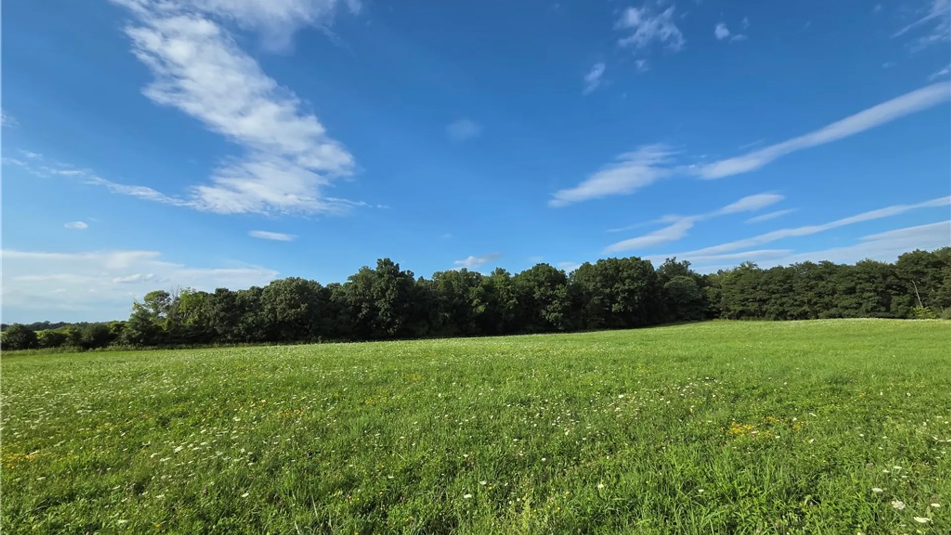 Property at 4655 Bailey Hill Road, Tyrone, NY 14837 12