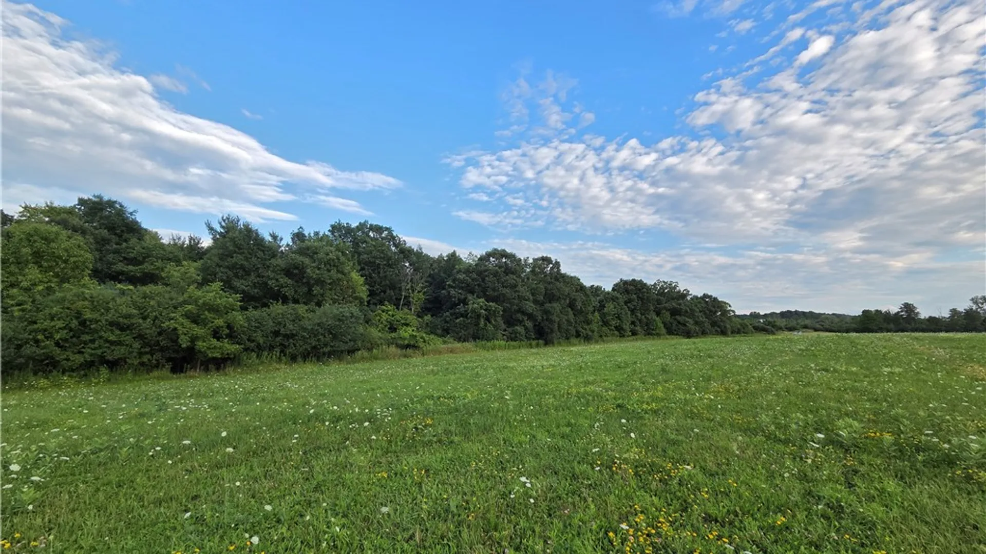 Property at 4655 Bailey Hill Road, Tyrone, NY 14837 13