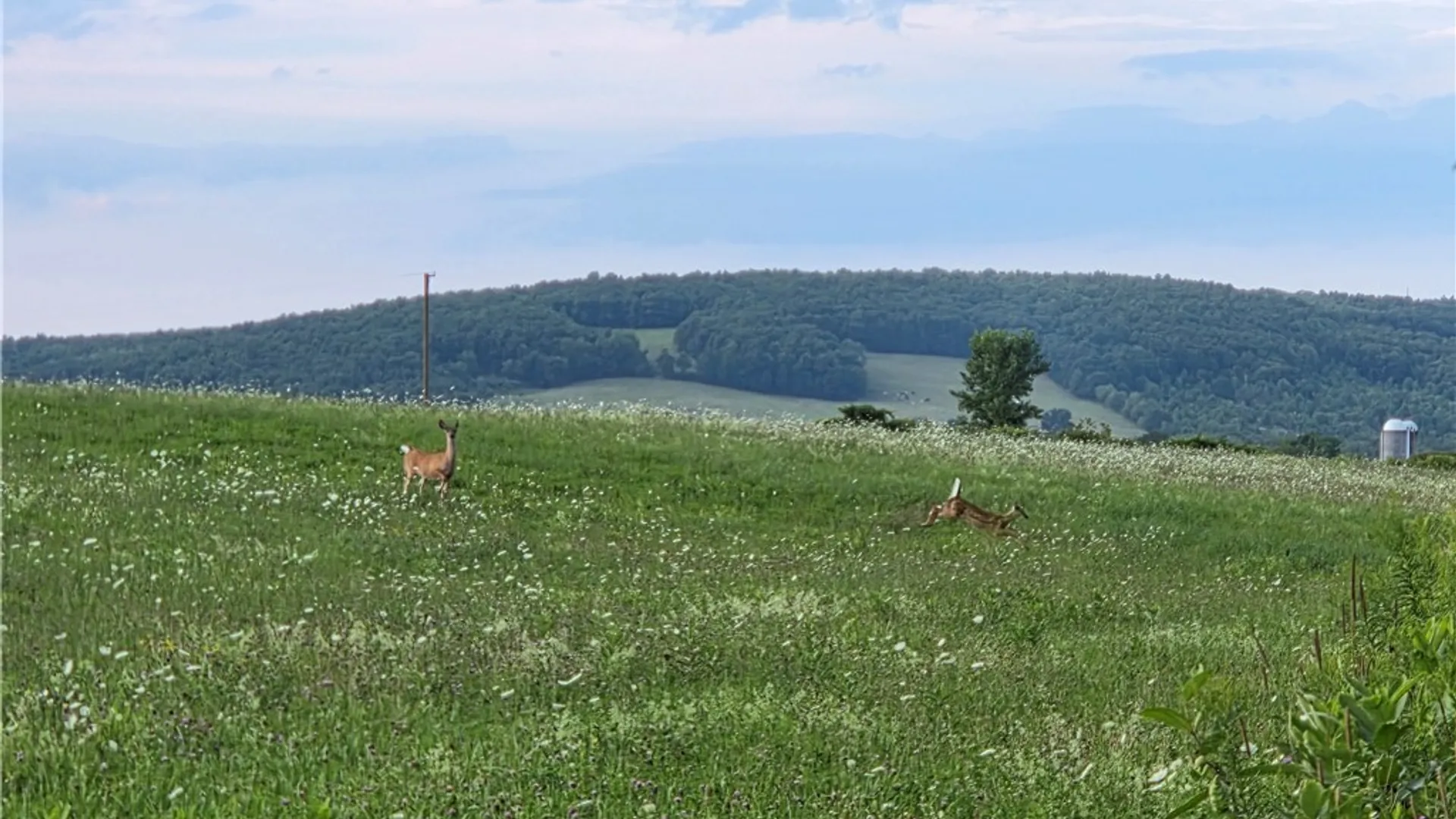 Property at 4655 Bailey Hill Road, Tyrone, NY 14837 17