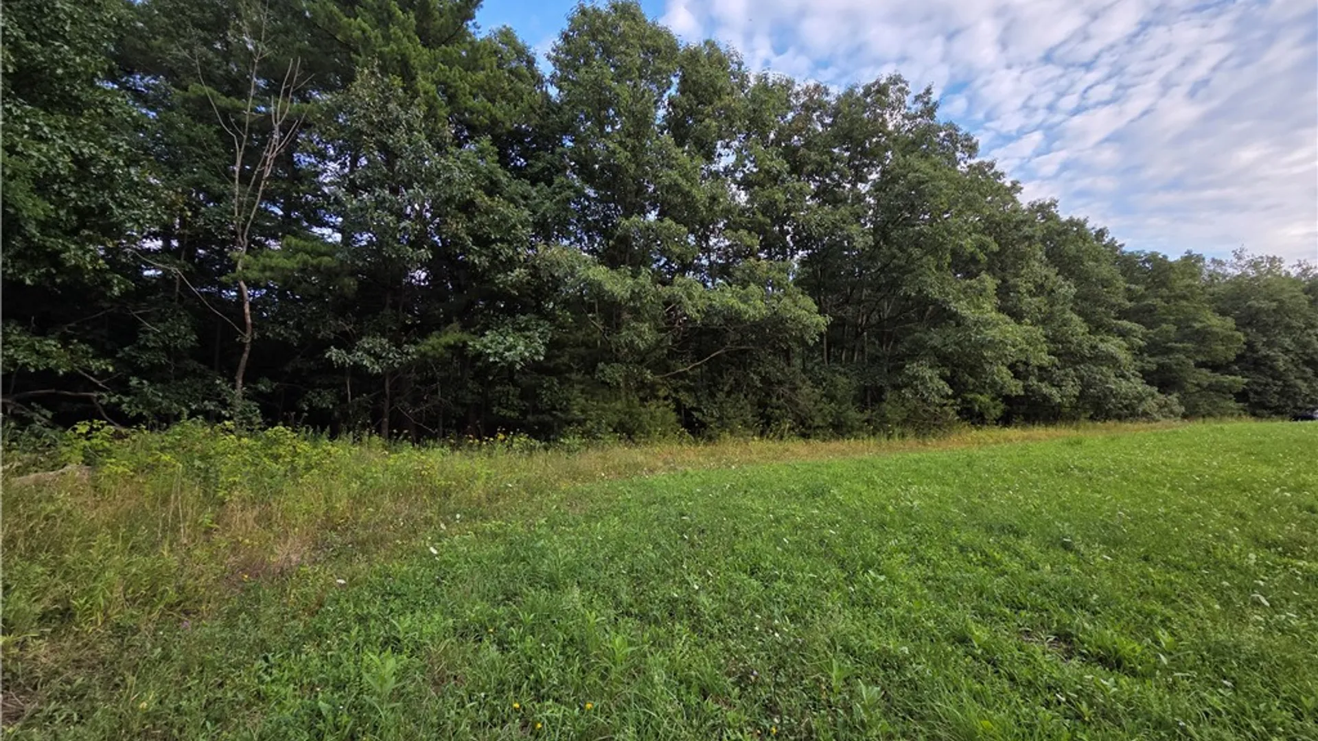Property at 4655 Bailey Hill Road, Tyrone, NY 14837 20