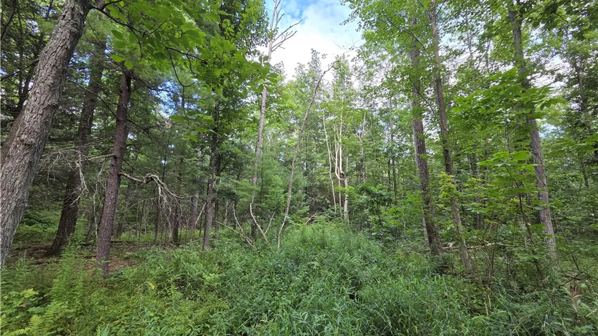 Property at 4655 Bailey Hill Road, Tyrone, NY 14837 25