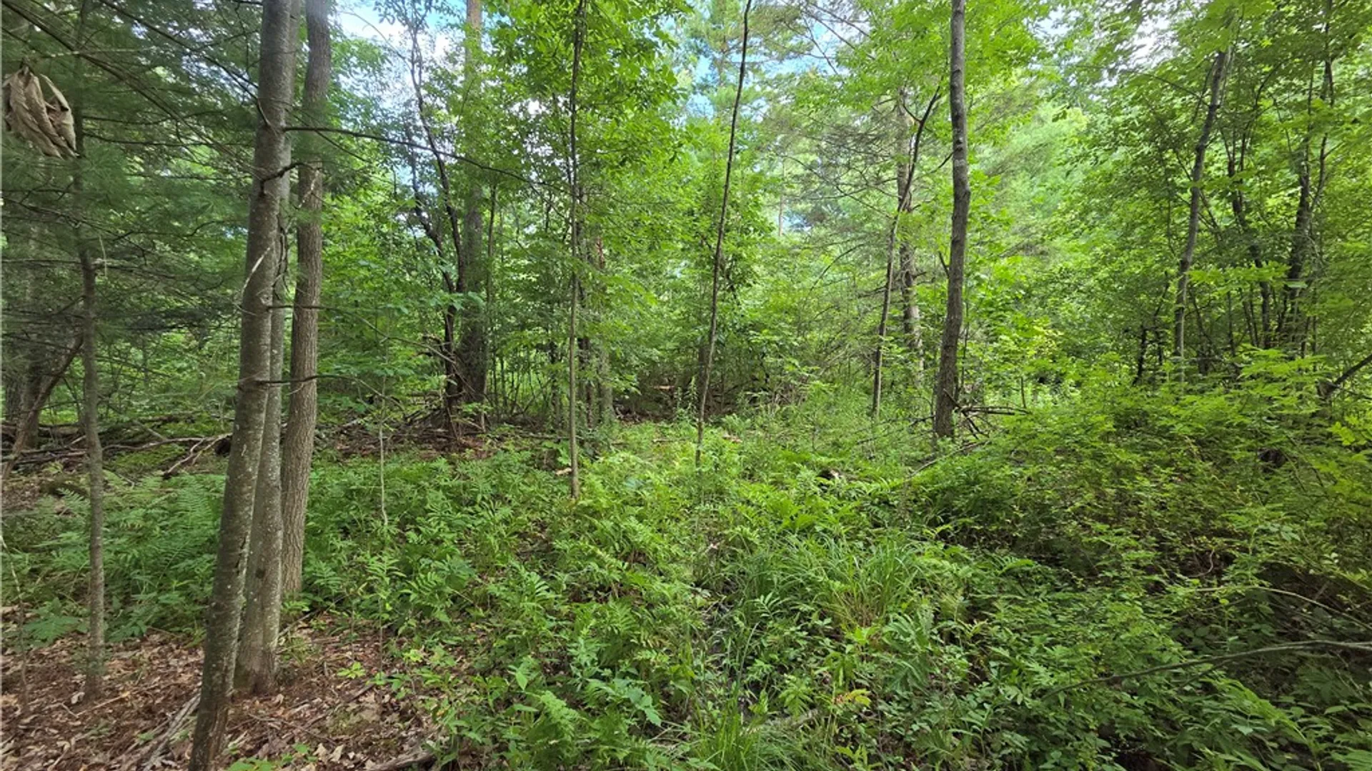 Property at 4655 Bailey Hill Road, Tyrone, NY 14837 26