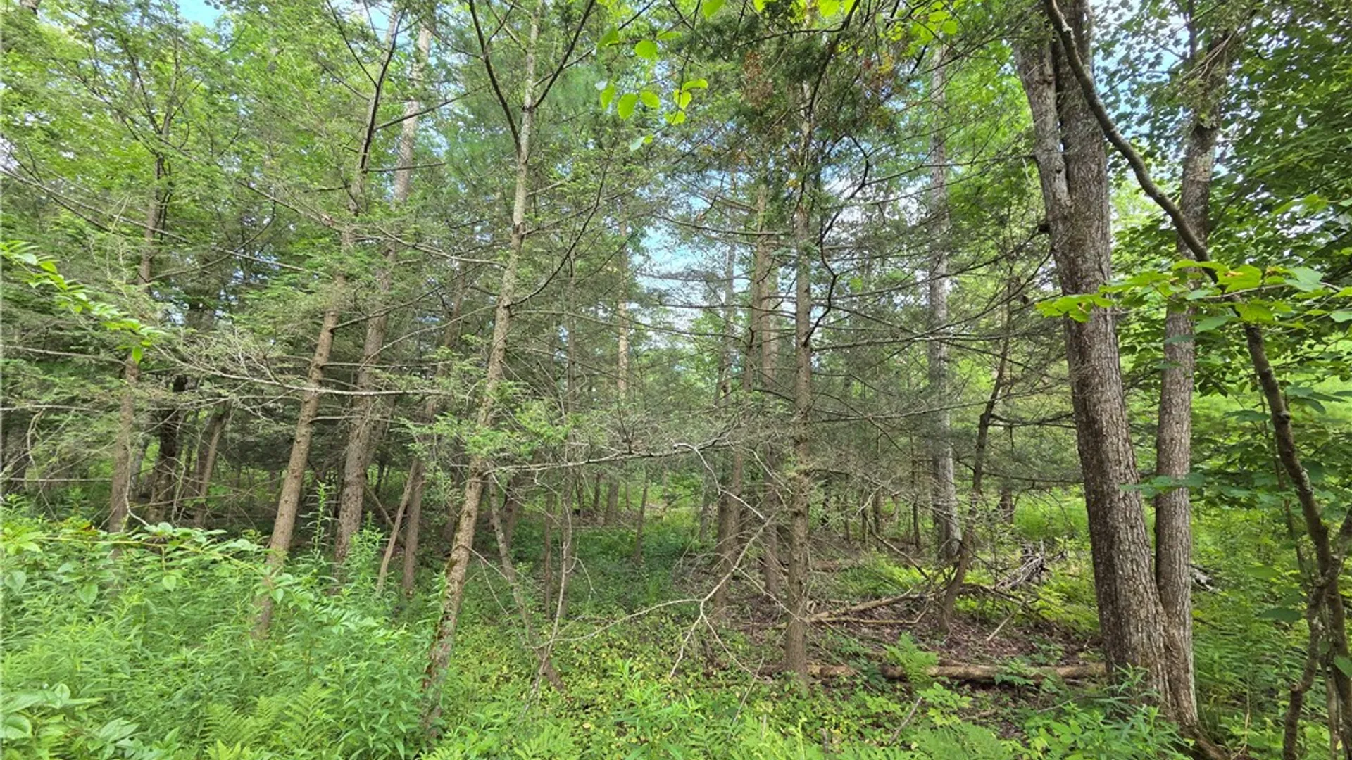 Property at 4655 Bailey Hill Road, Tyrone, NY 14837 27