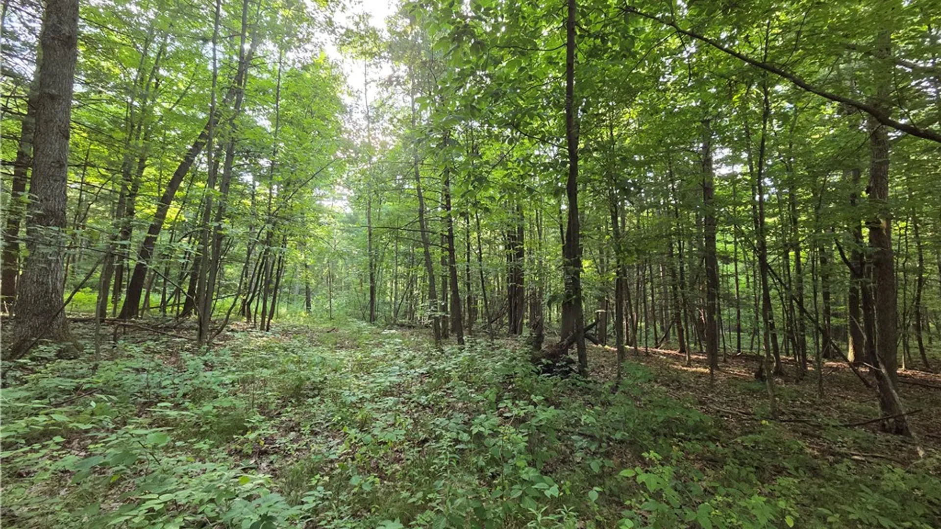 Property at 4655 Bailey Hill Road, Tyrone, NY 14837 28