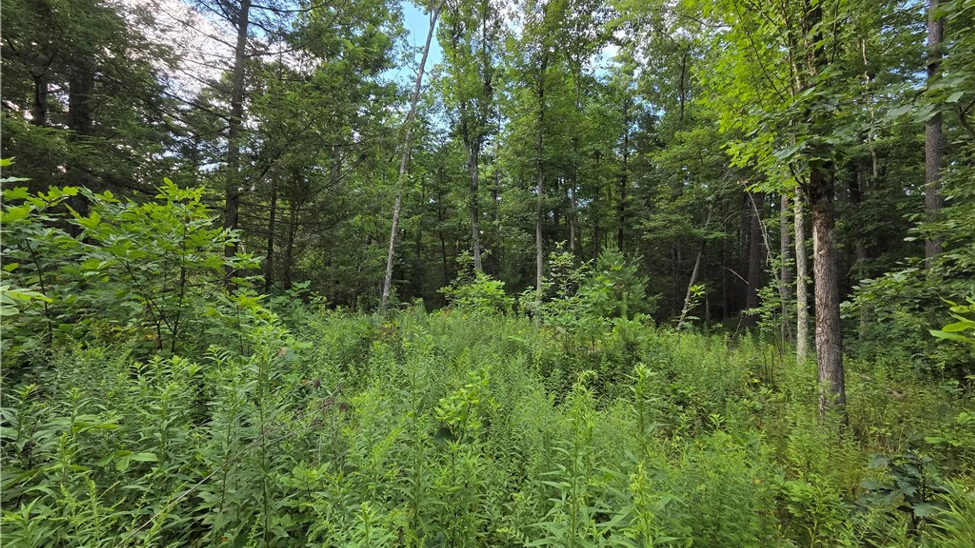 Property at 4655 Bailey Hill Road, Tyrone, NY 14837 29