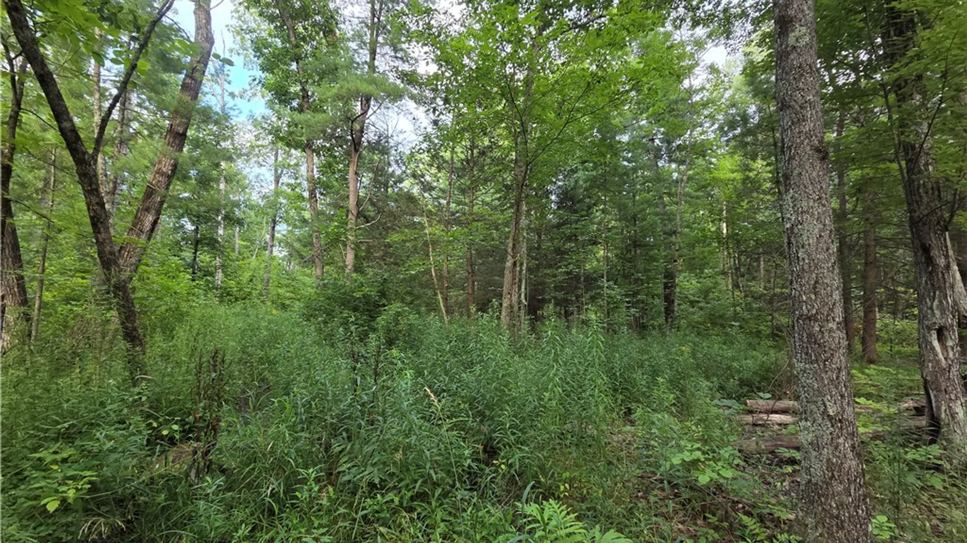 Property at 4655 Bailey Hill Road, Tyrone, NY 14837 31