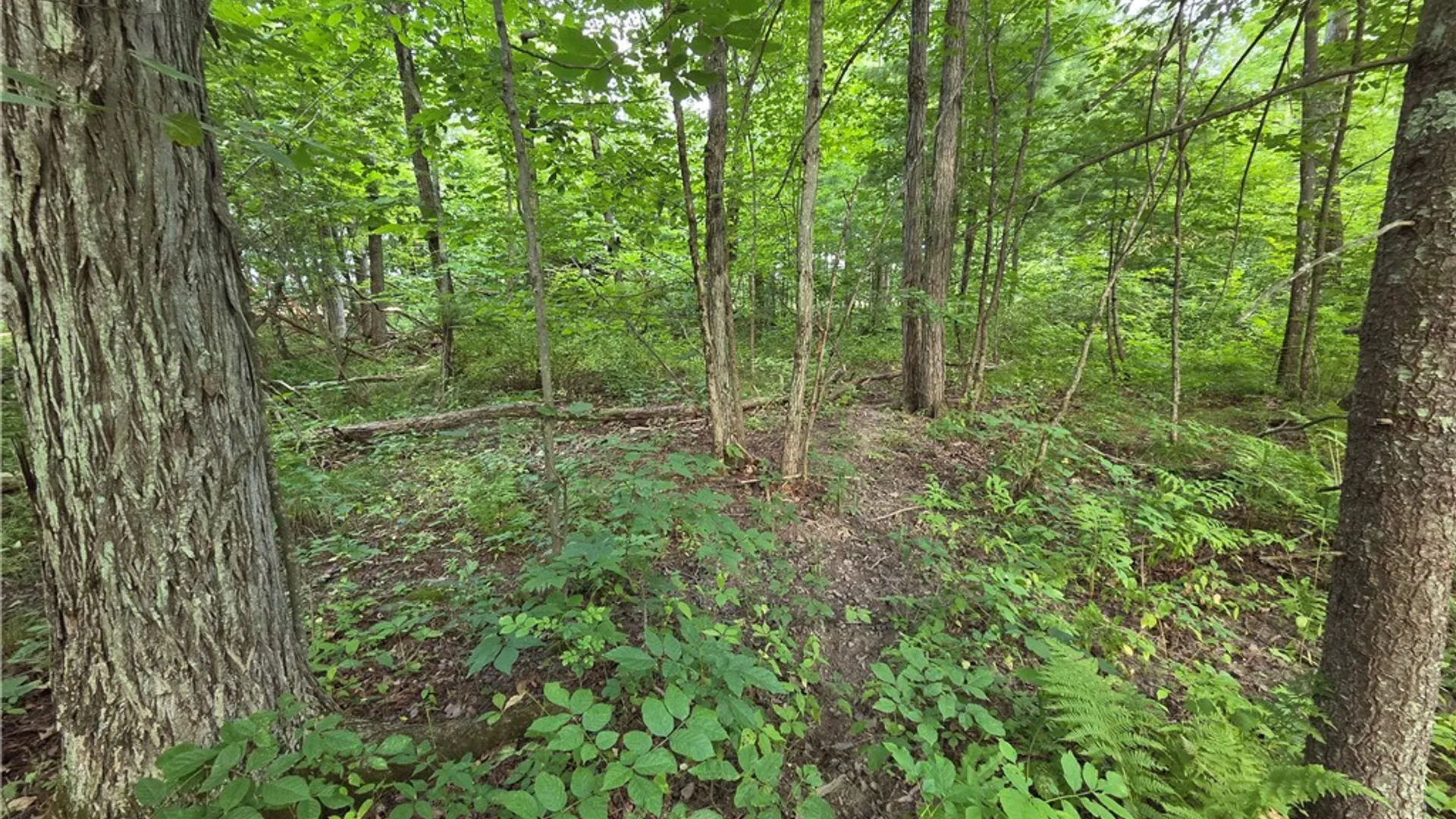 Property at 4655 Bailey Hill Road, Tyrone, NY 14837 32