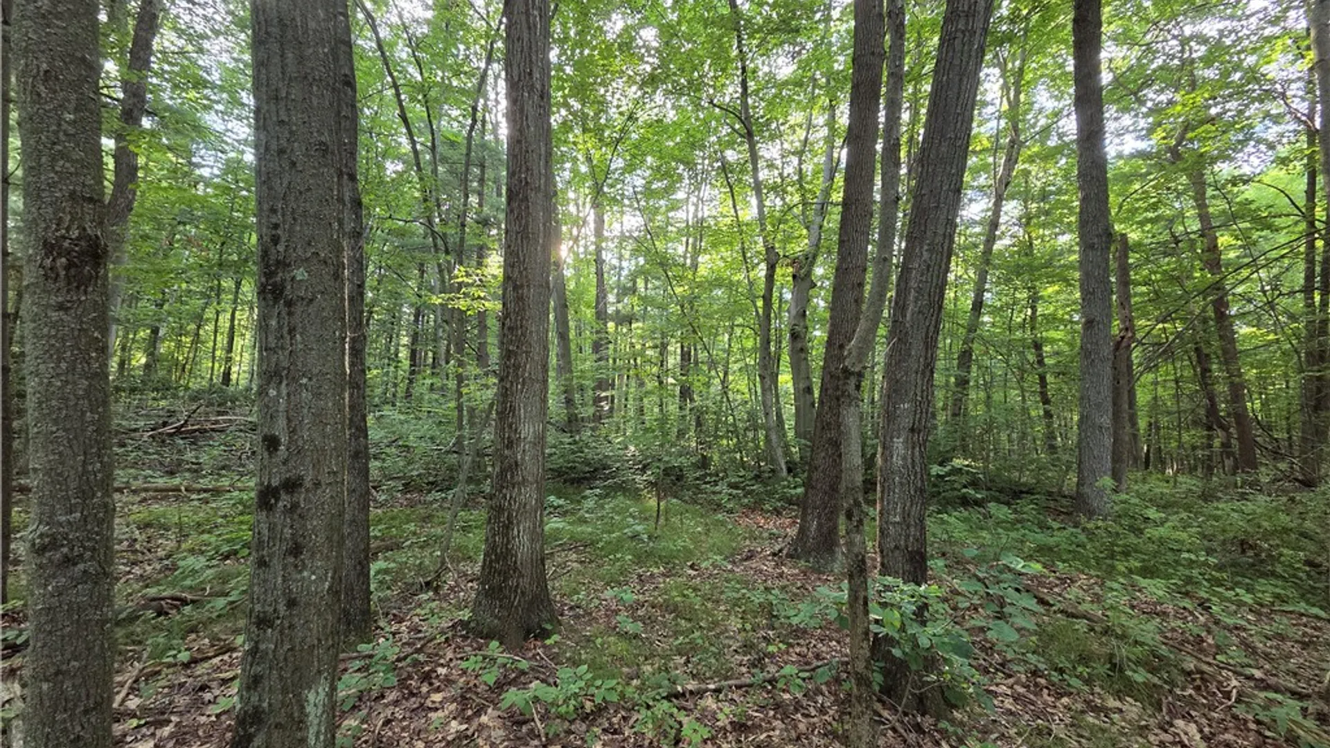 Property at 4655 Bailey Hill Road, Tyrone, NY 14837 34