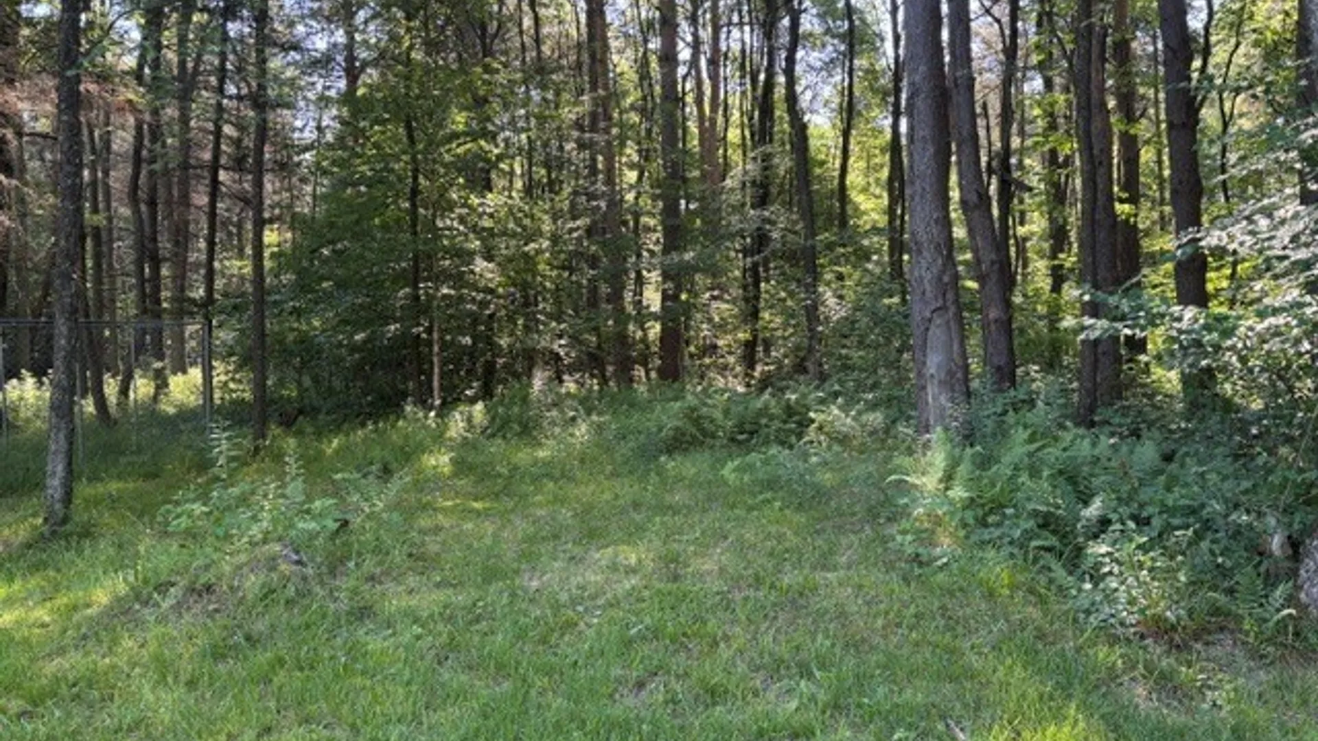 Property at 1198 Abbott Road, Lyndon, NY 14727 23