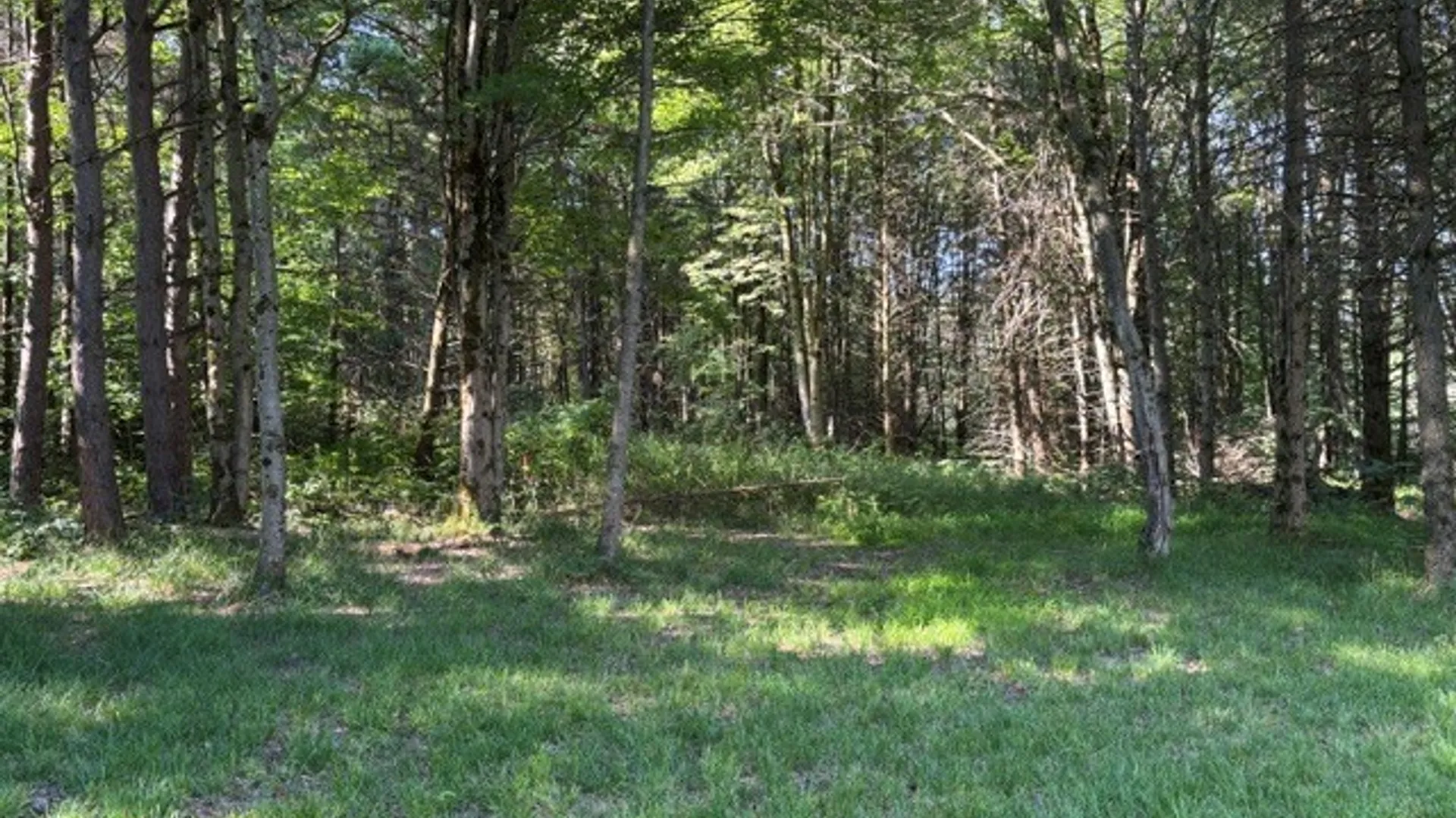 Property at 1198 Abbott Road, Lyndon, NY 14727 25