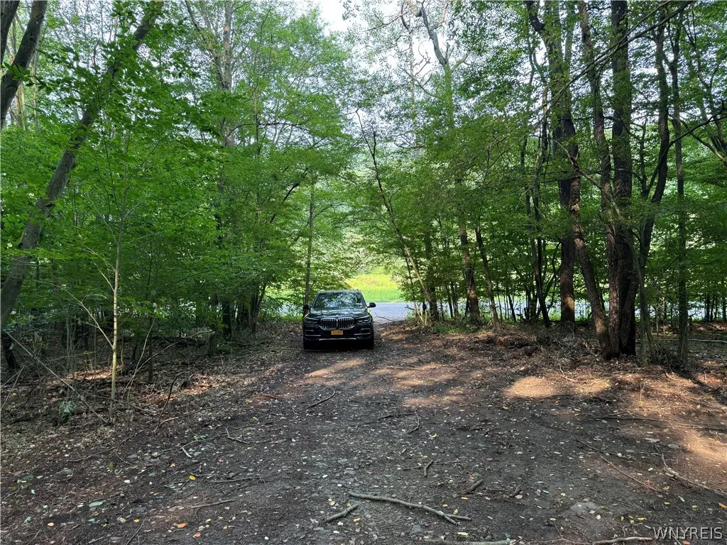 Property at 3992 Bear Hollow Road, Great Valley, NY 14741