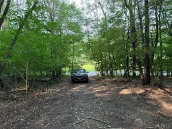 Property at Bear Hollow Road, Great Valley, NY 14741