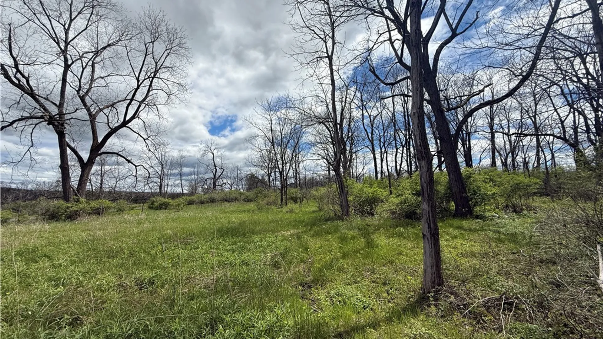 Property at Tucker Road, Enfield, NY 14886 3