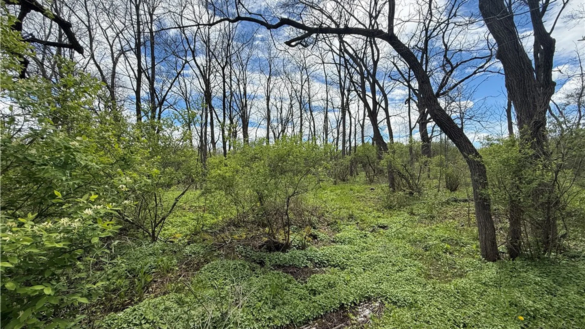 Property at Tucker Road, Enfield, NY 14886 4