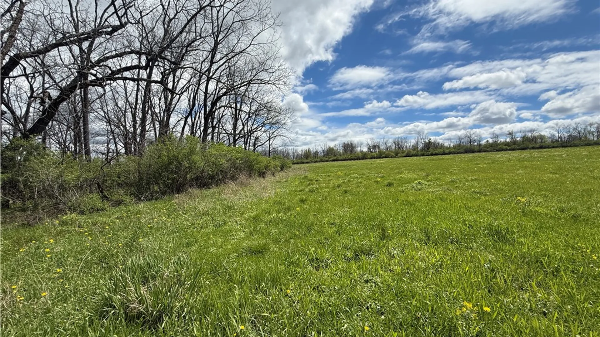 Property at Tucker Road, Enfield, NY 14886 6