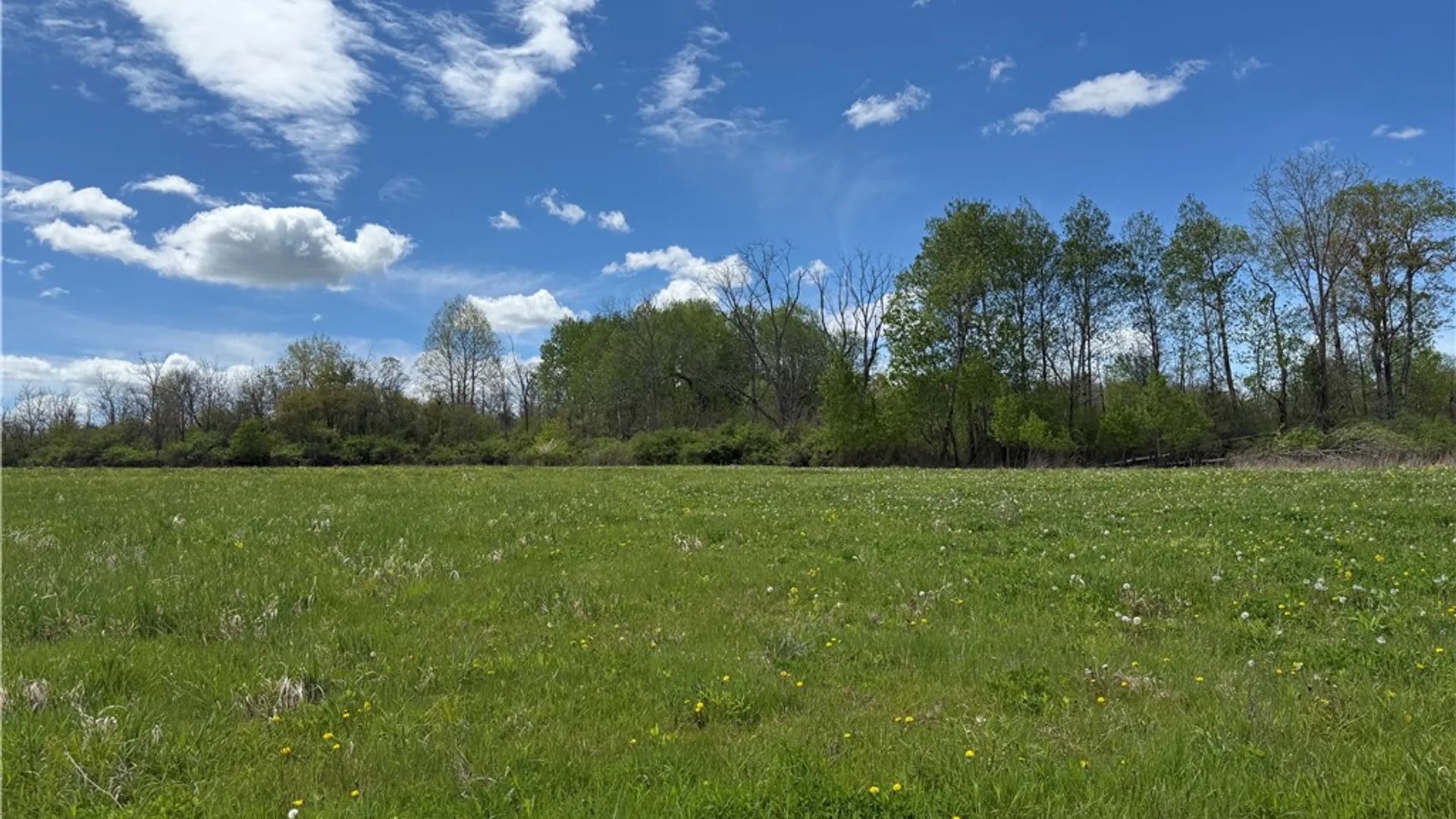 Property at Tucker Road, Enfield, NY 14886 7