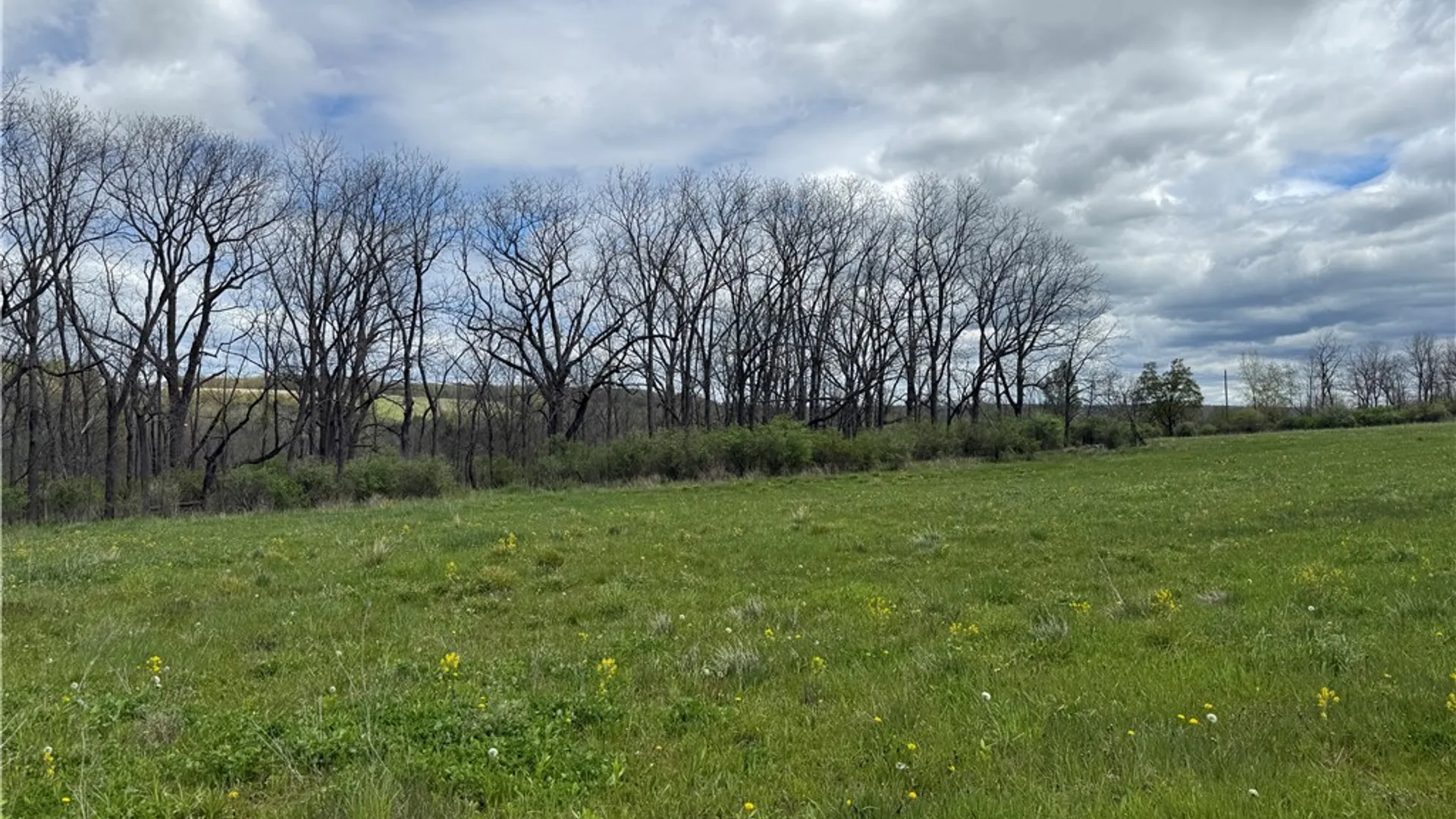 Property at Tucker Road, Enfield, NY 14886 9