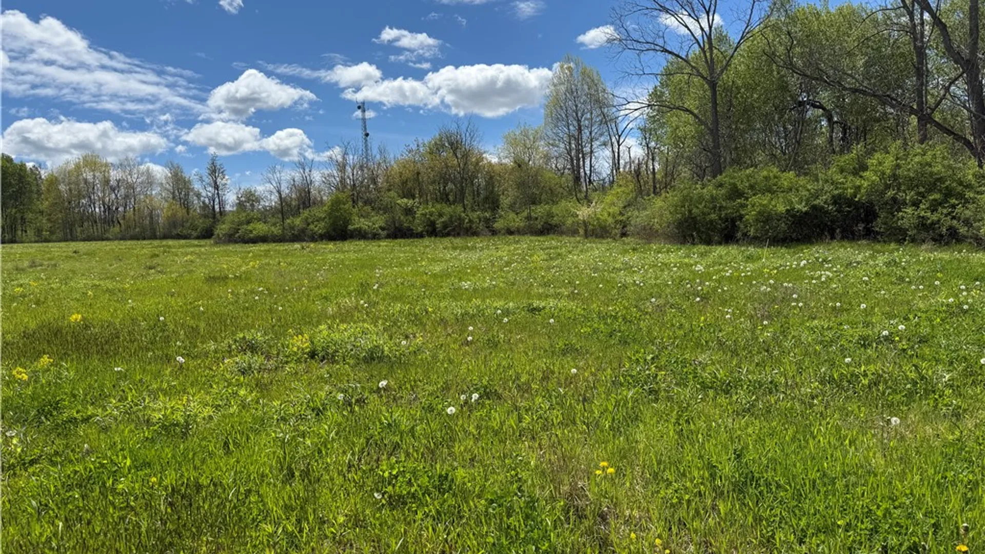 Property at Tucker Road, Enfield, NY 14886 10