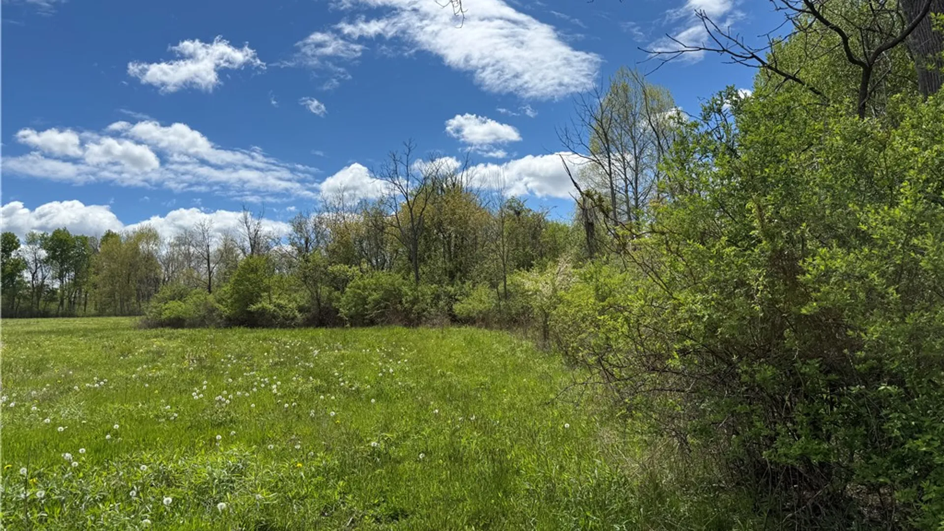 Property at Tucker Road, Enfield, NY 14886 11