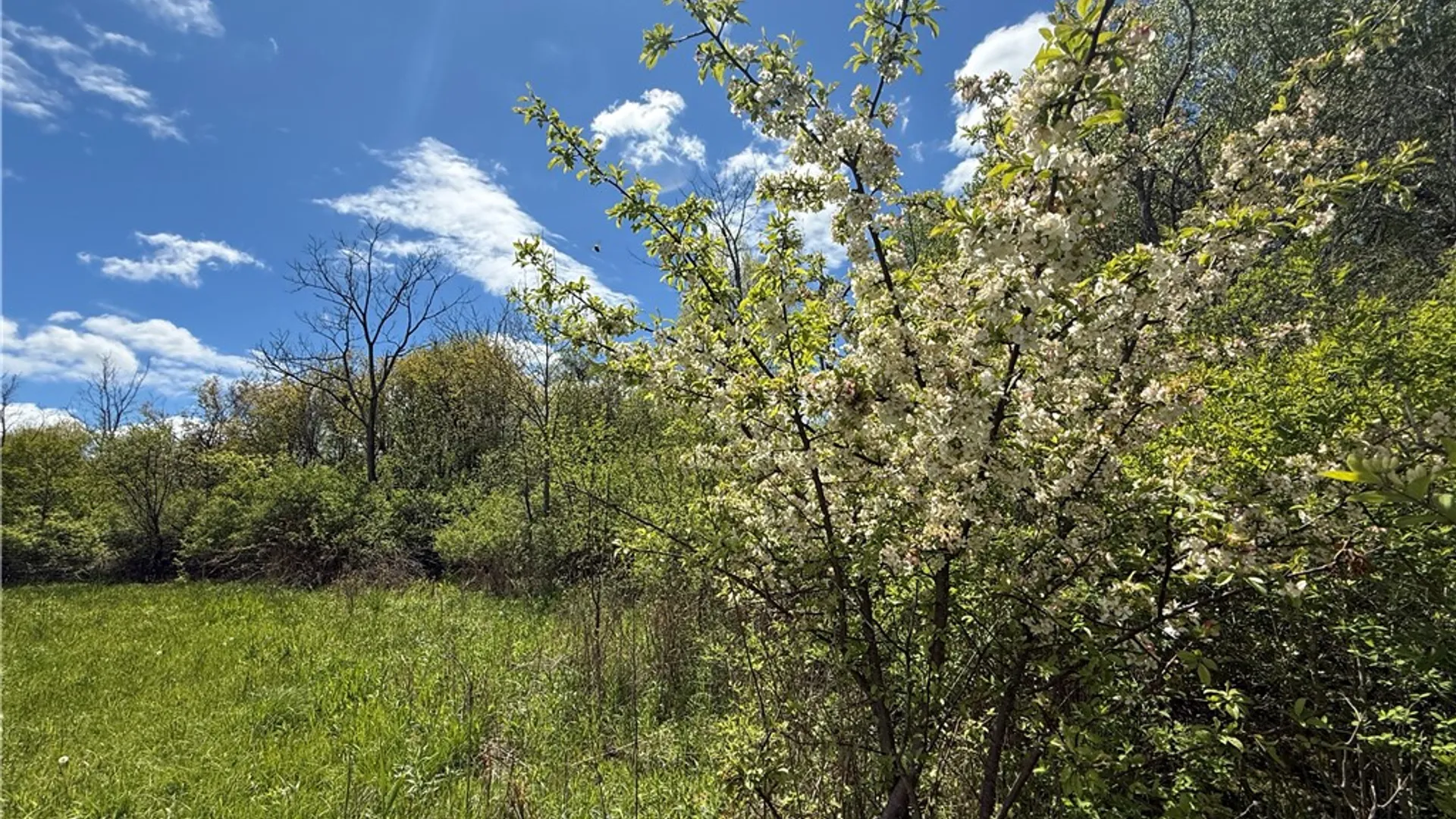 Property at Tucker Road, Enfield, NY 14886 12
