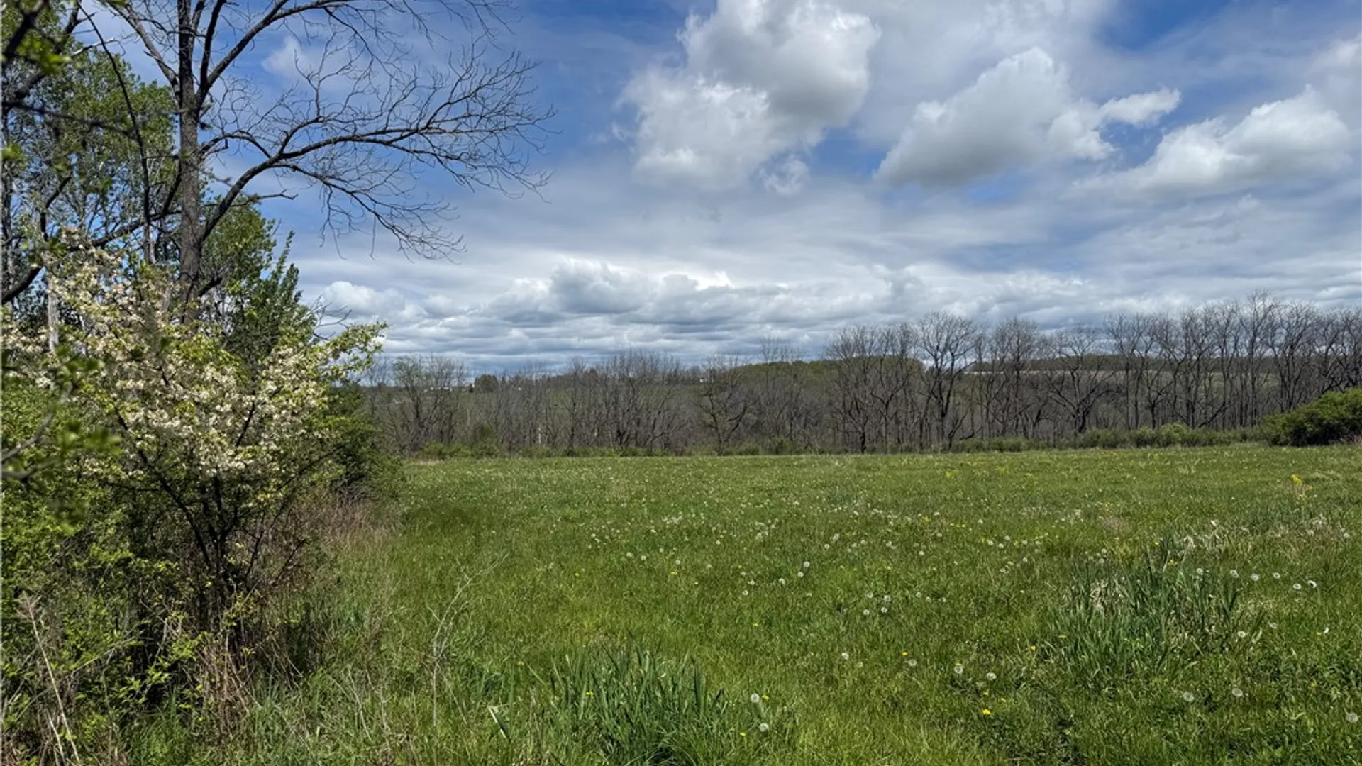 Property at Tucker Road, Enfield, NY 14886 14