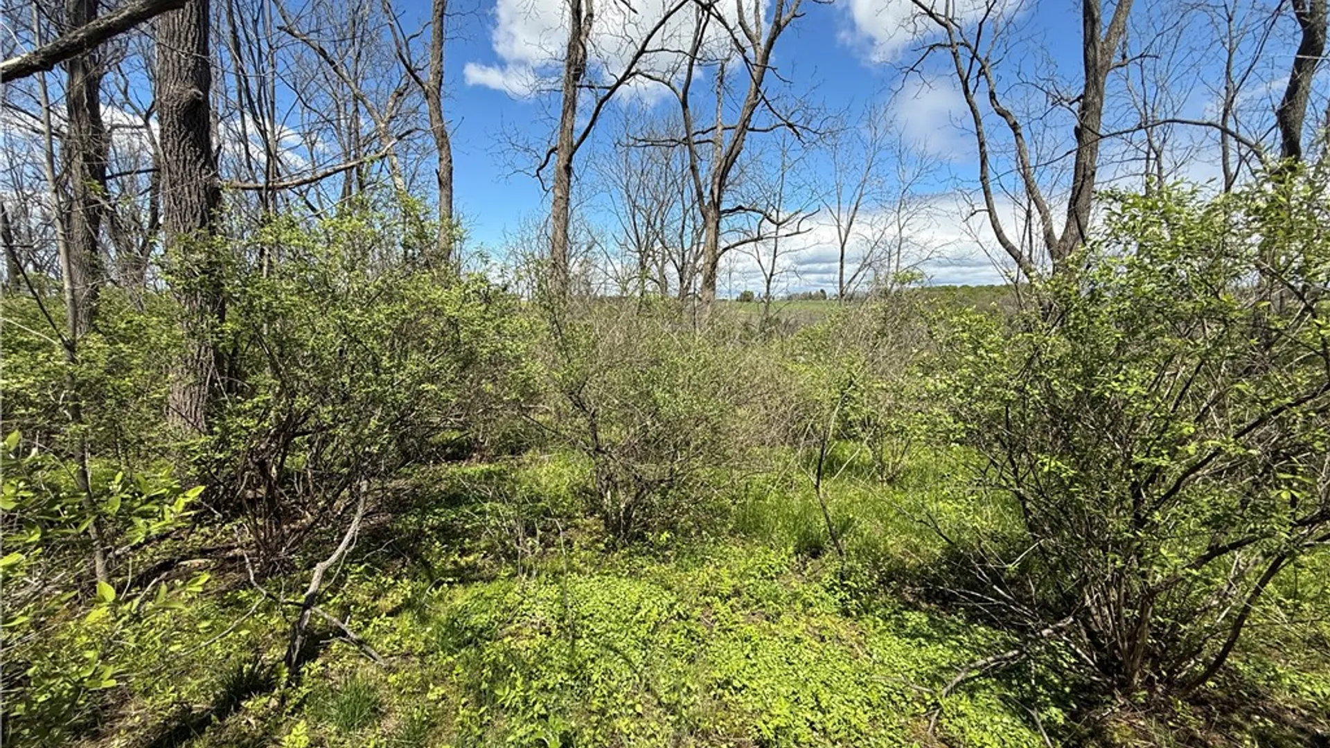 Property at Tucker Road, Enfield, NY 14886 18