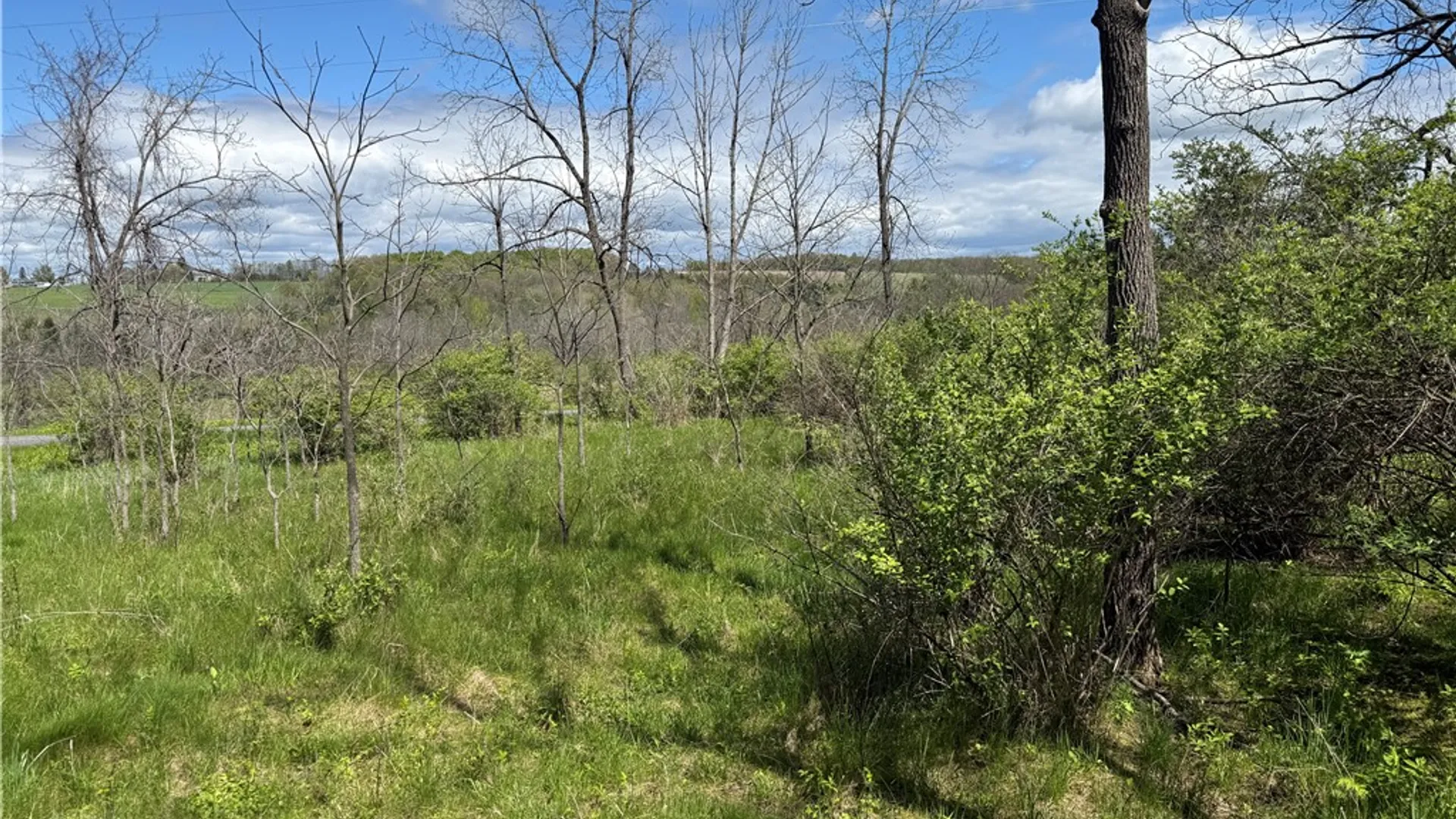 Property at Tucker Road, Enfield, NY 14886 21