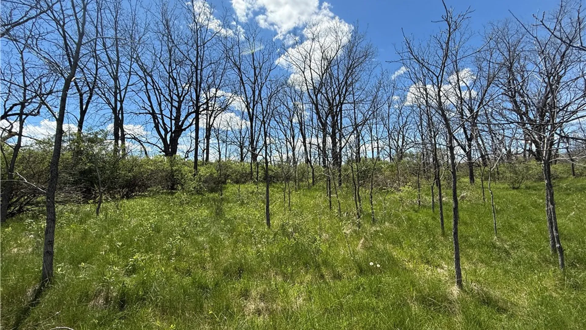 Property at Tucker Road, Enfield, NY 14886 23