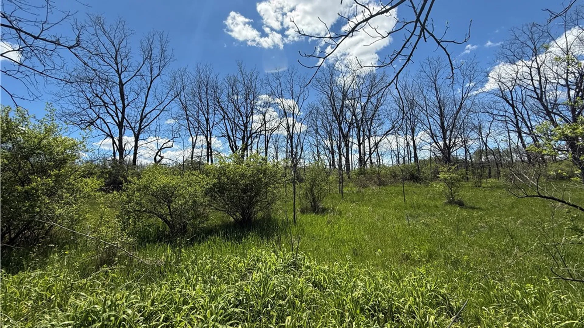 Property at Tucker Road, Enfield, NY 14886 24