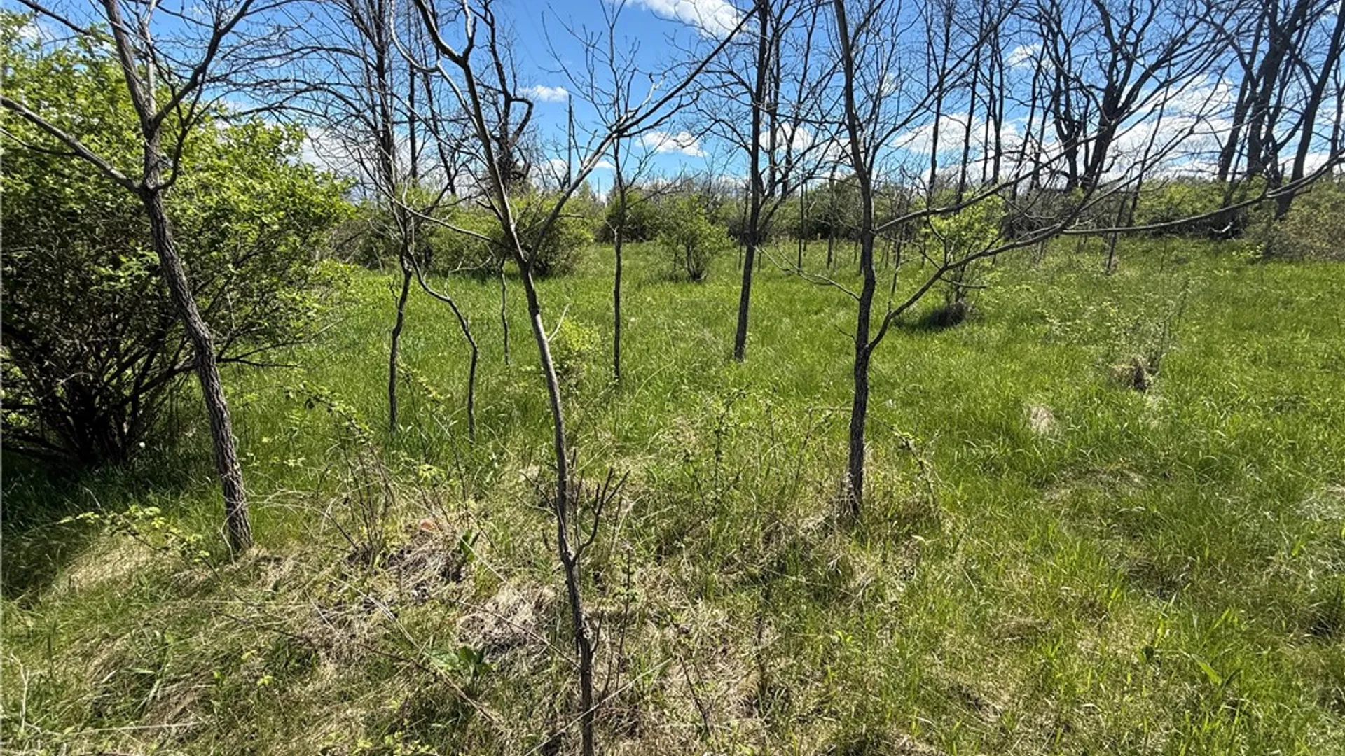 Property at Tucker Road, Enfield, NY 14886 26