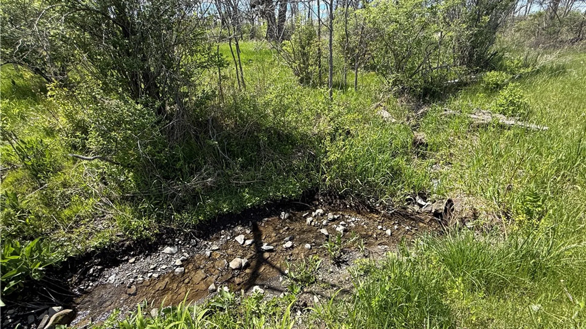 Property at Tucker Road, Enfield, NY 14886 29