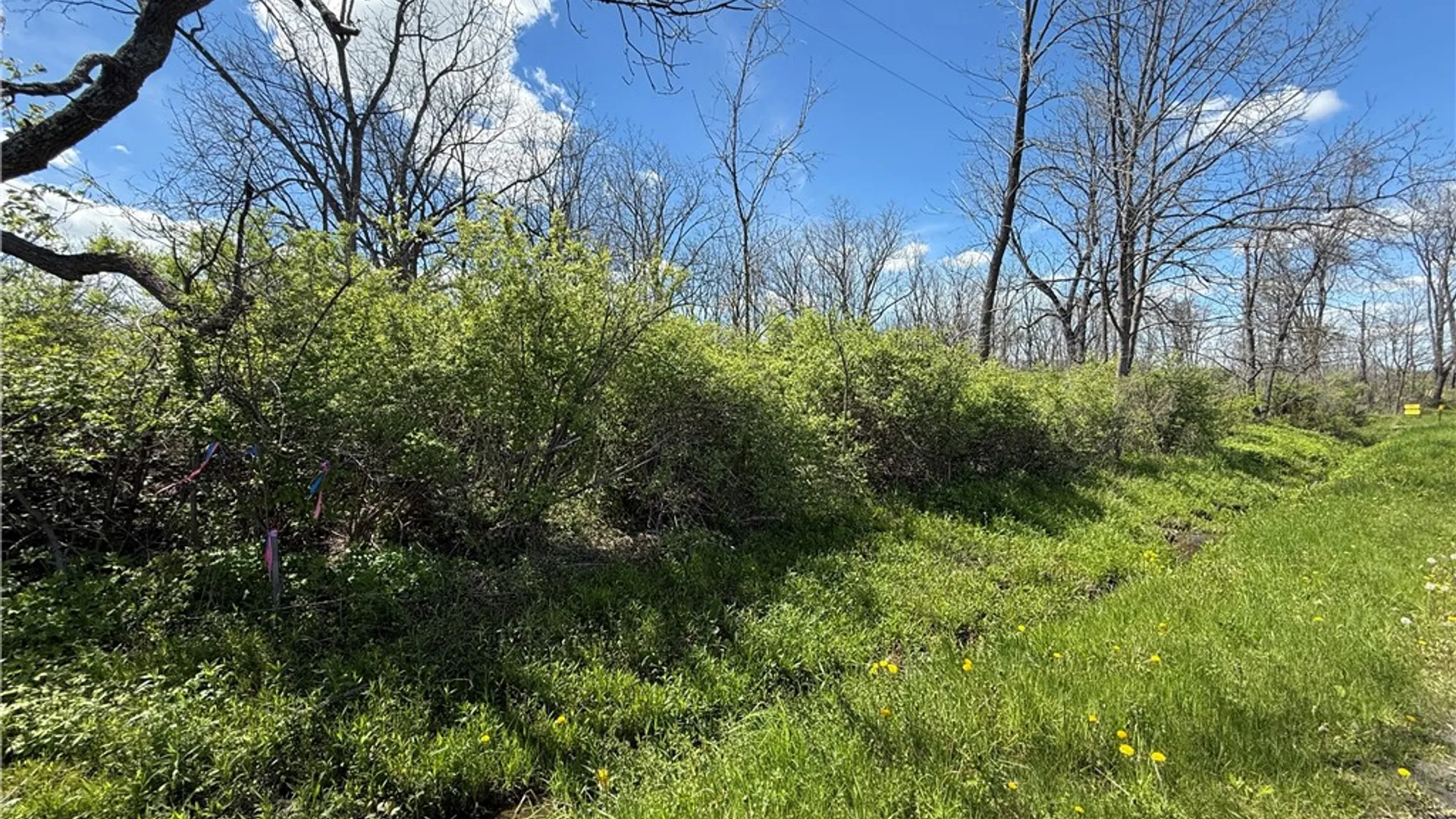 Property at Tucker Road, Enfield, NY 14886 30