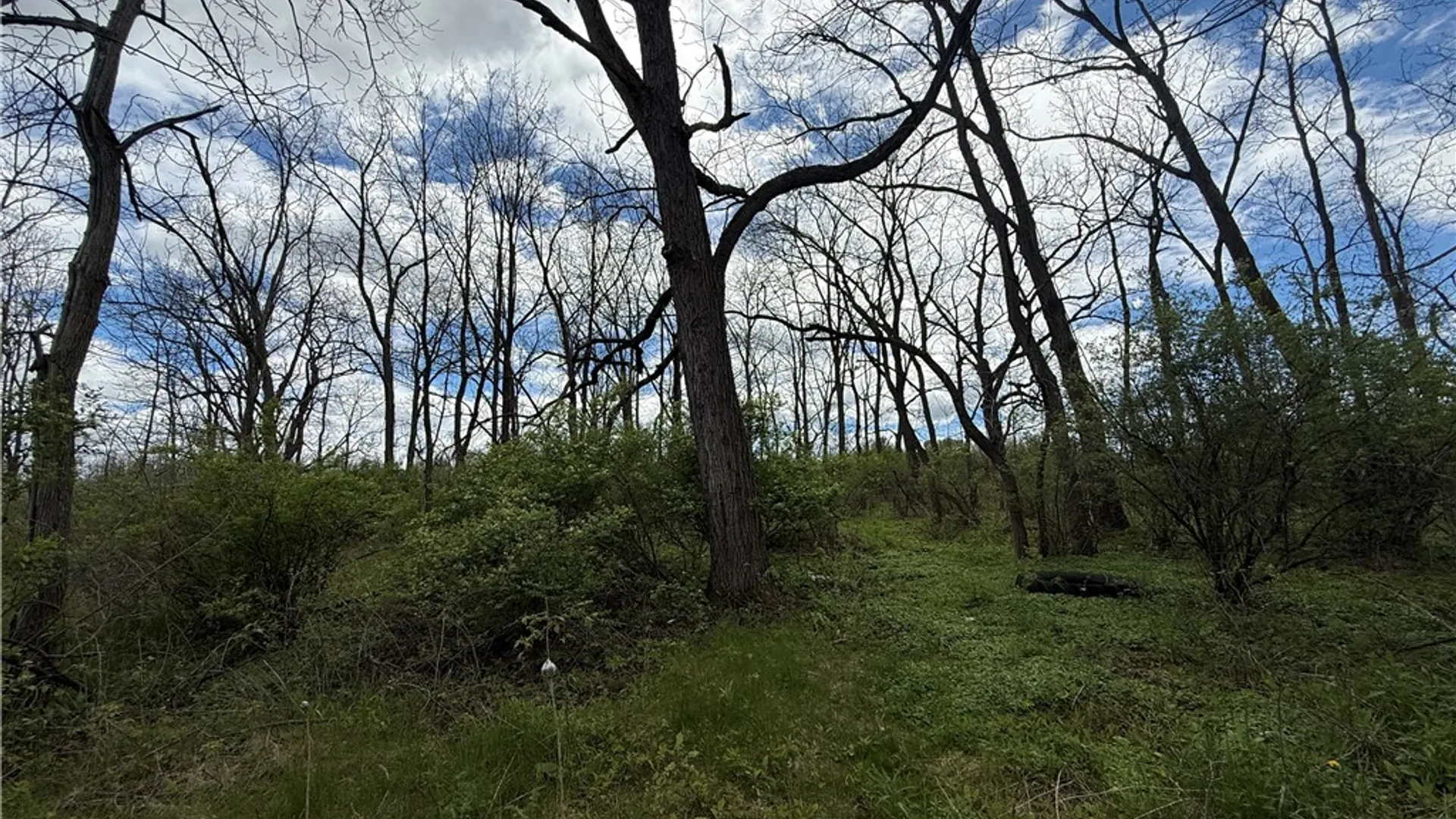Property at Tucker Road, Enfield, NY 14886 33