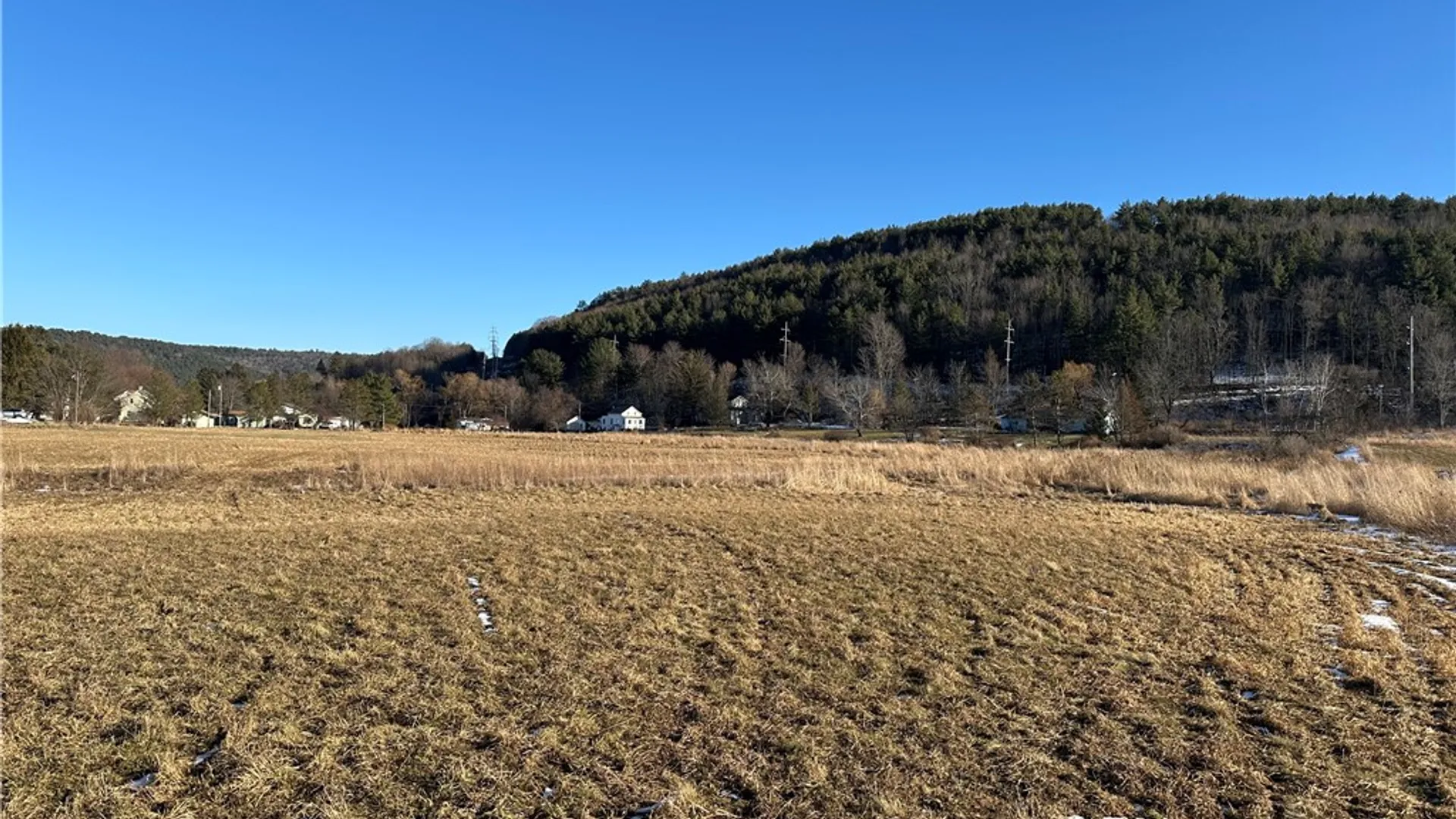 Property at 171 Cronk Lane, Roxbury, NY 12434 8