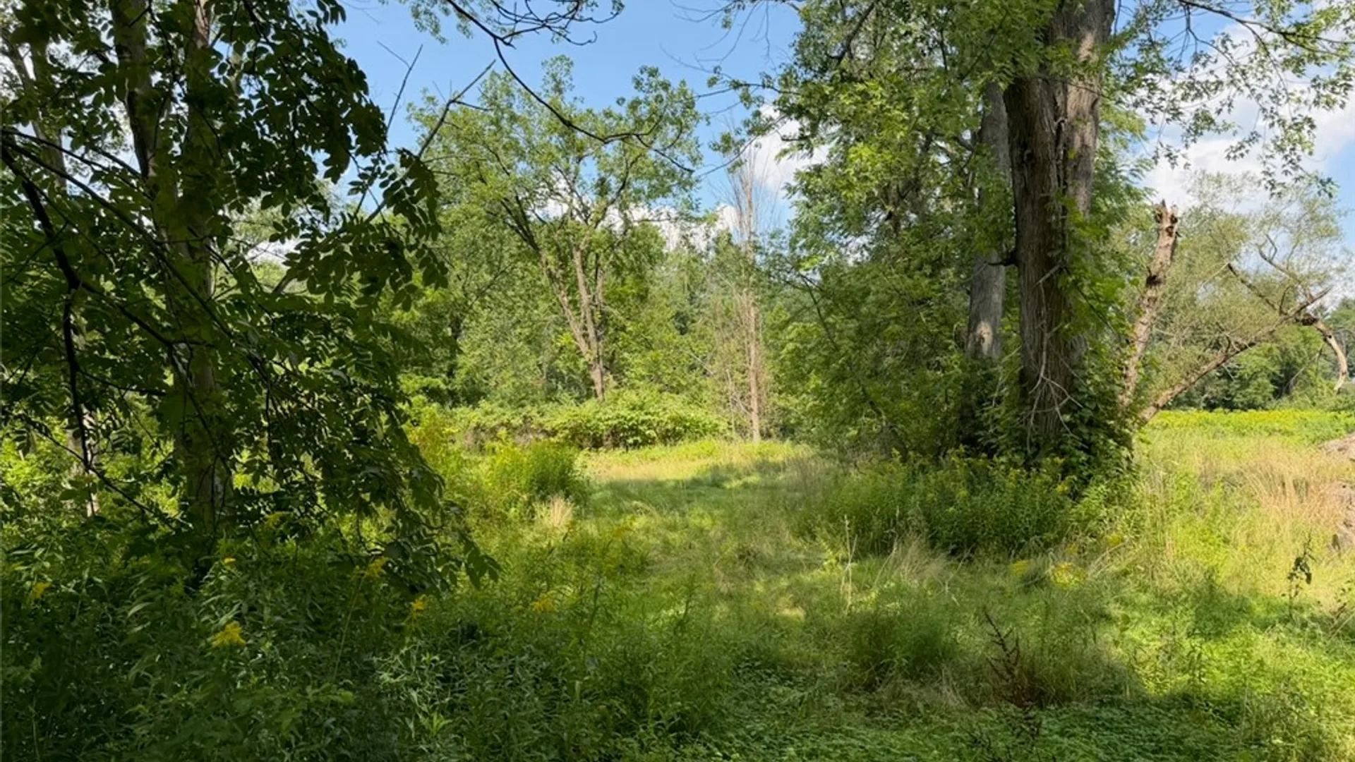 Property at 3 Bevins Road, Oneonta, NY 13820 33
