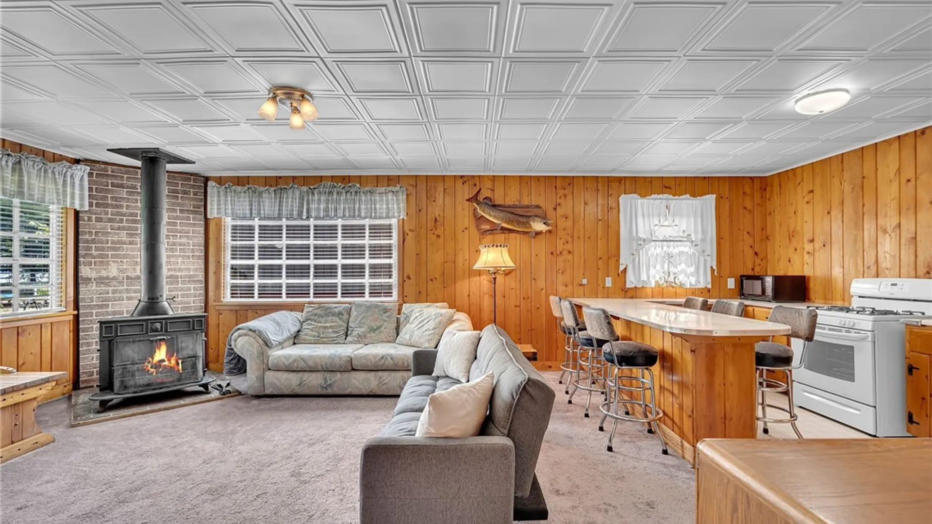 Property at 197 Sea Lion Drive, Chautauqua, NY 14757 8