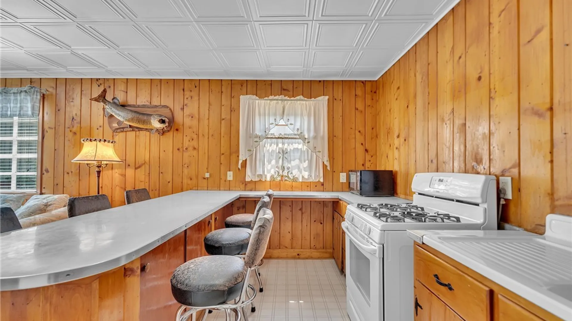 Property at 197 Sea Lion Drive, Chautauqua, NY 14757 12