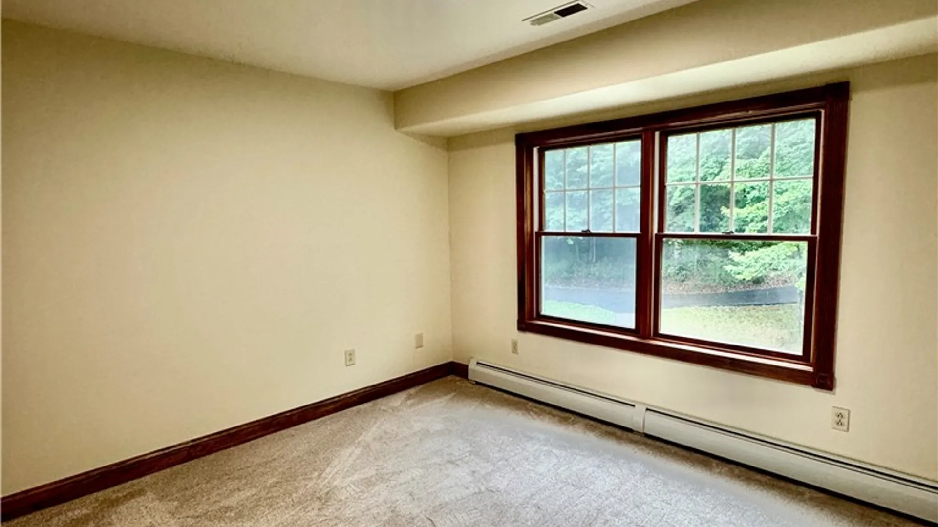 Property at 10809 Hidden Meadow Trail, Erwin, NY 14830 28