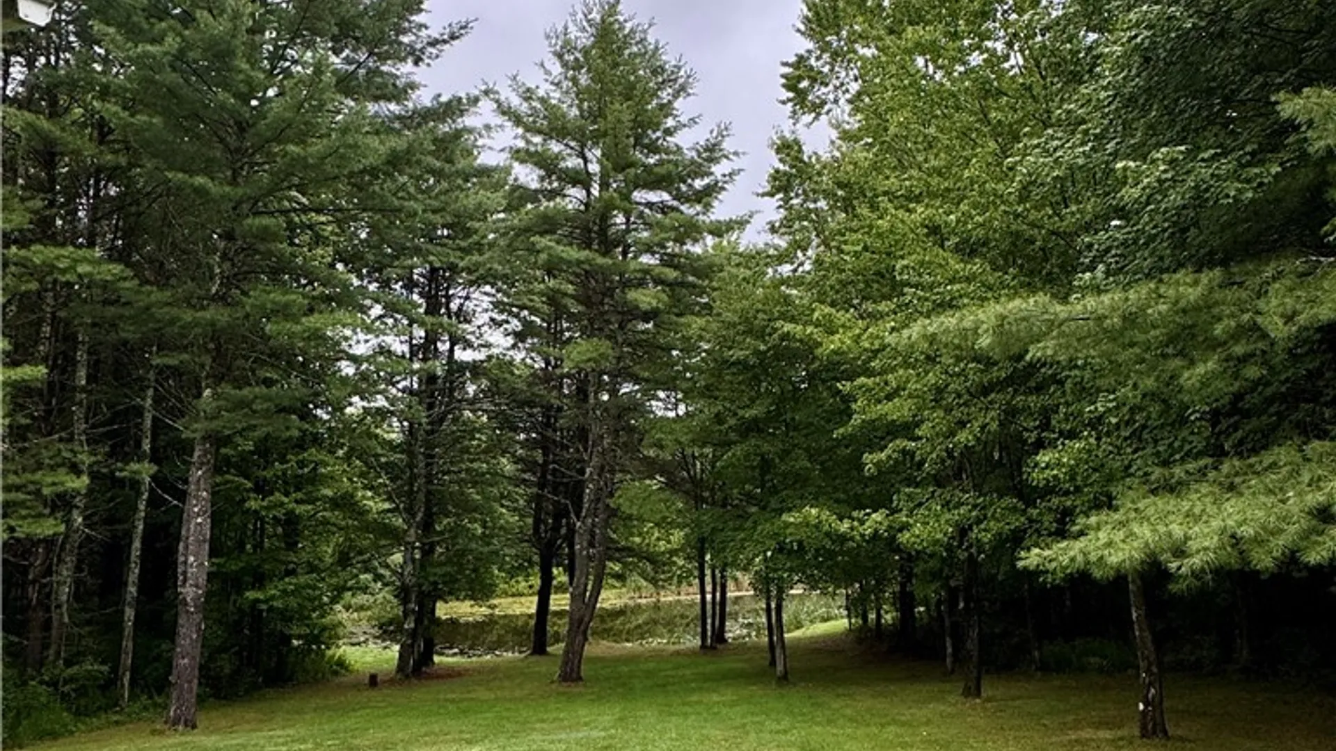 Property at 10809 Hidden Meadow Trail, Erwin, NY 14830 41