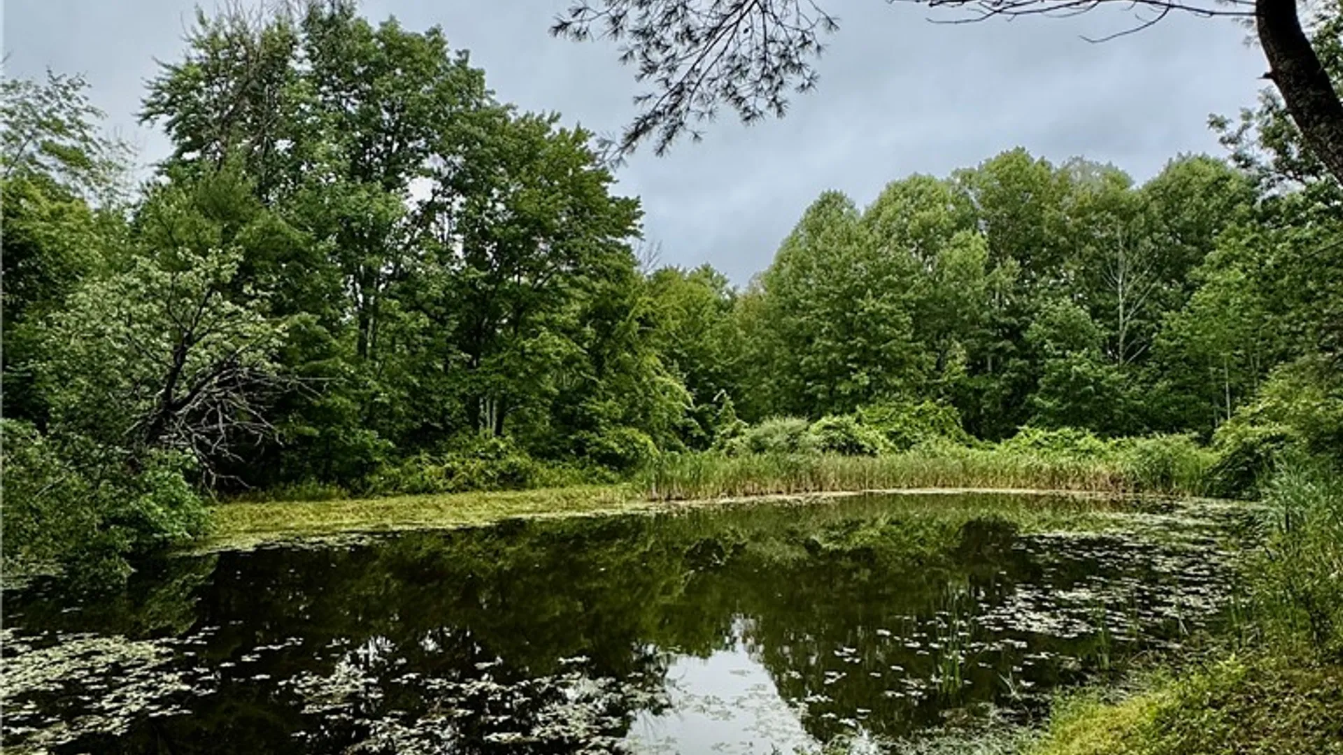 Property at 10809 Hidden Meadow Trail, Erwin, NY 14830 42