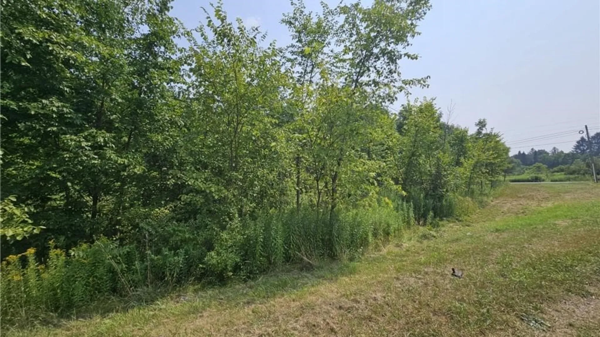 Property at County Route 37, West Monroe, NY 13167 3