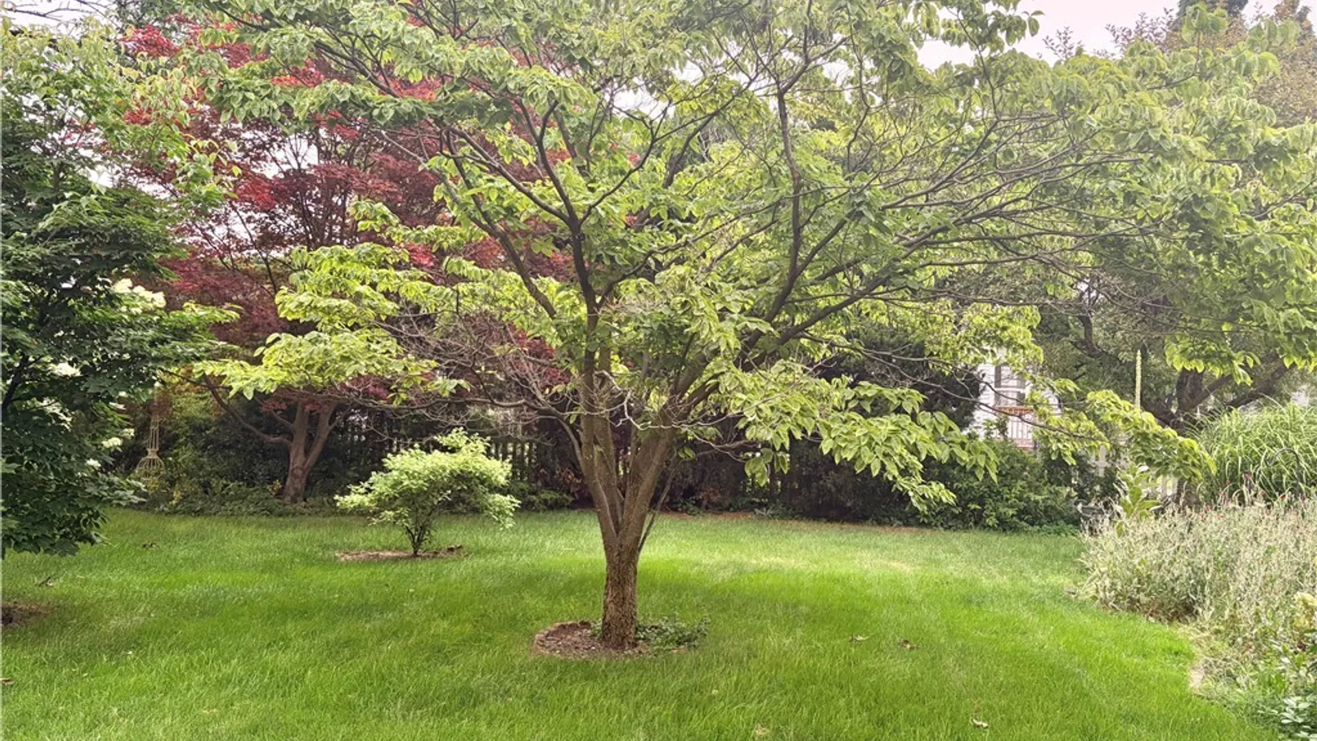 Property at 9 Norran Drive, Rochester, NY 14609 14