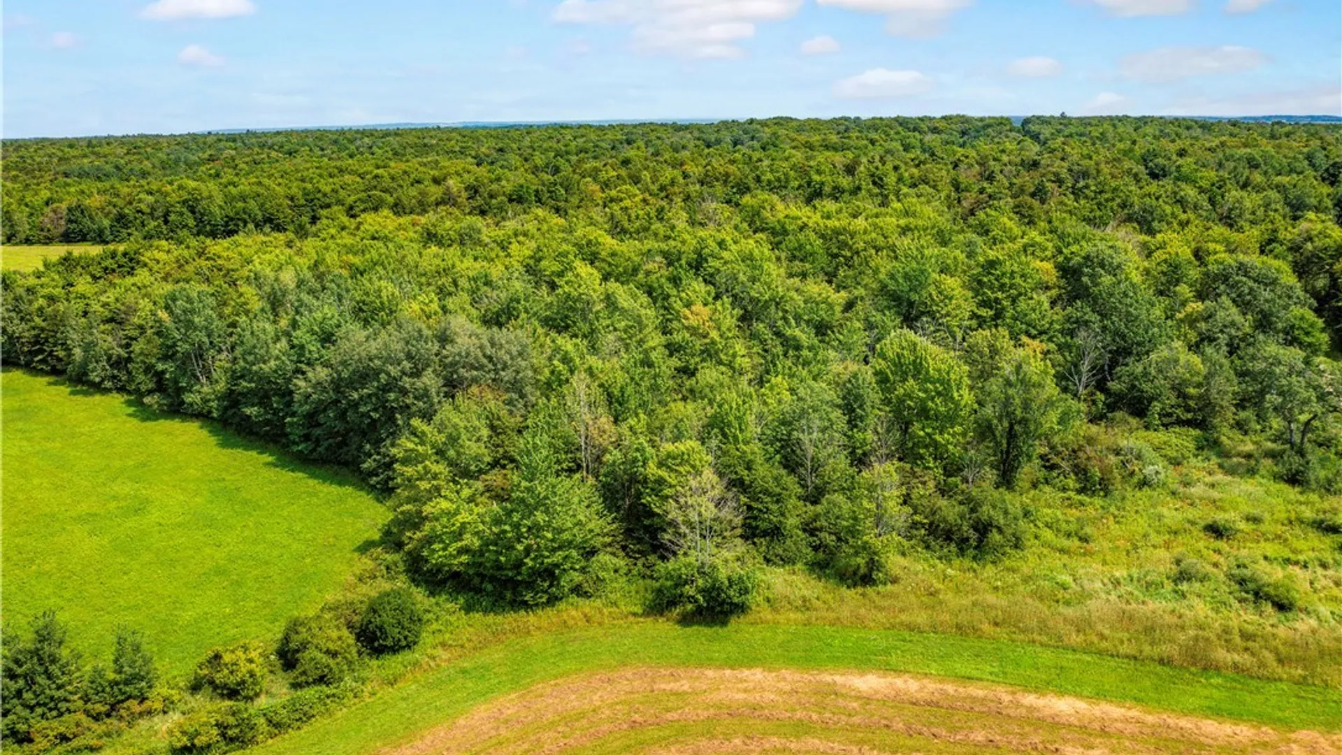 Property at 5184 Route 76, Ripley, NY 14775 43