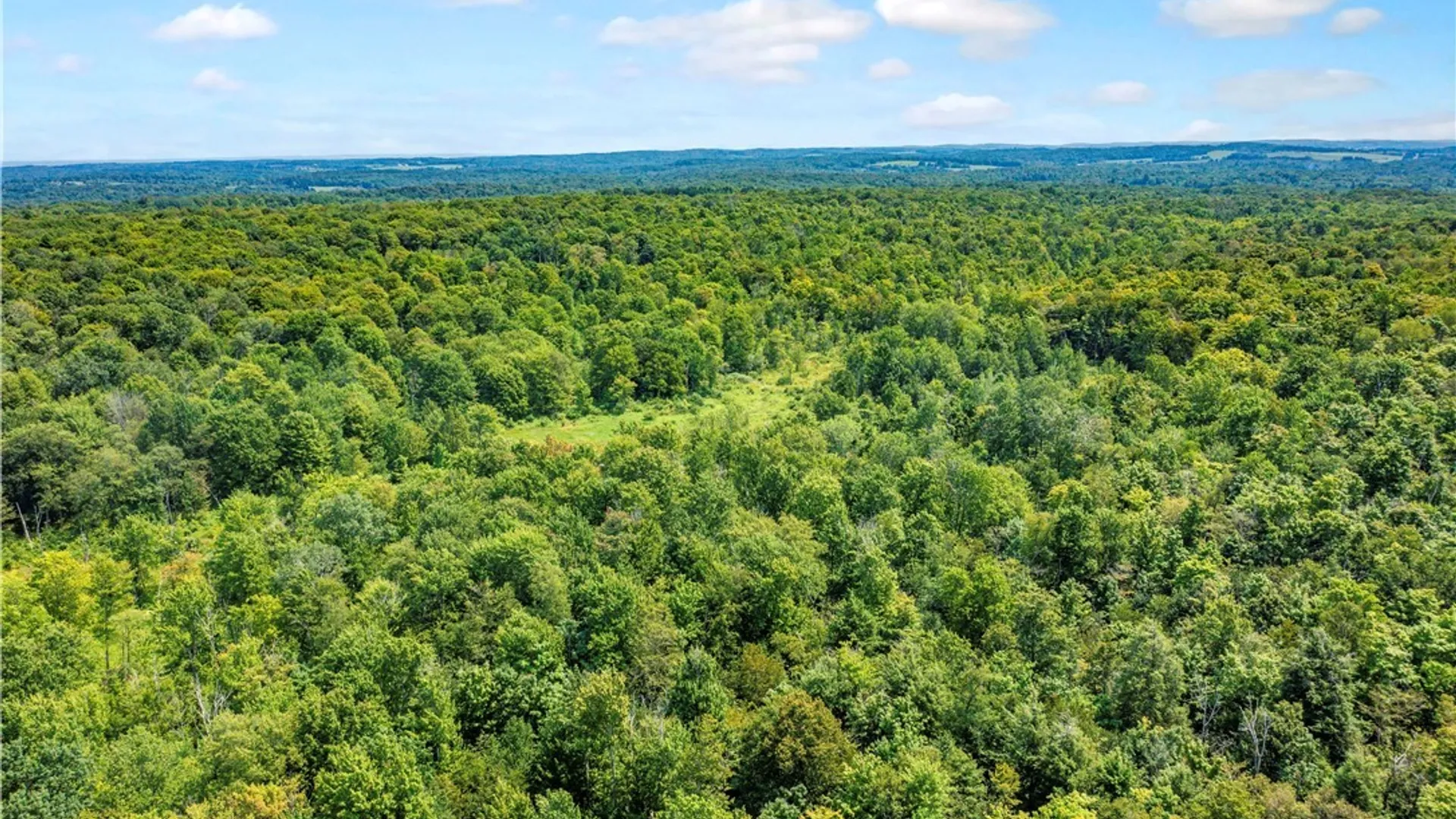 Property at 5184 Route 76, Ripley, NY 14775 3