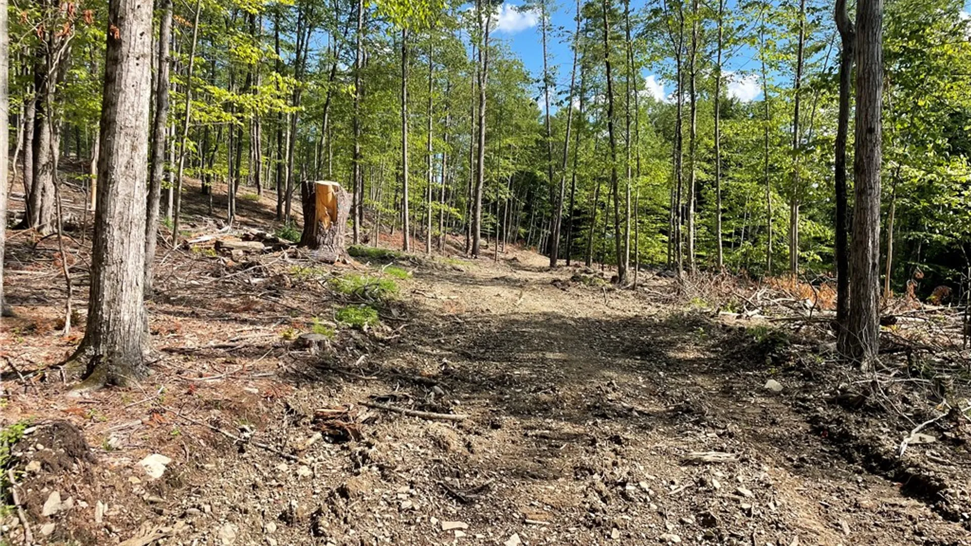 Property at County Highway 35, Milford, NY 13807 4