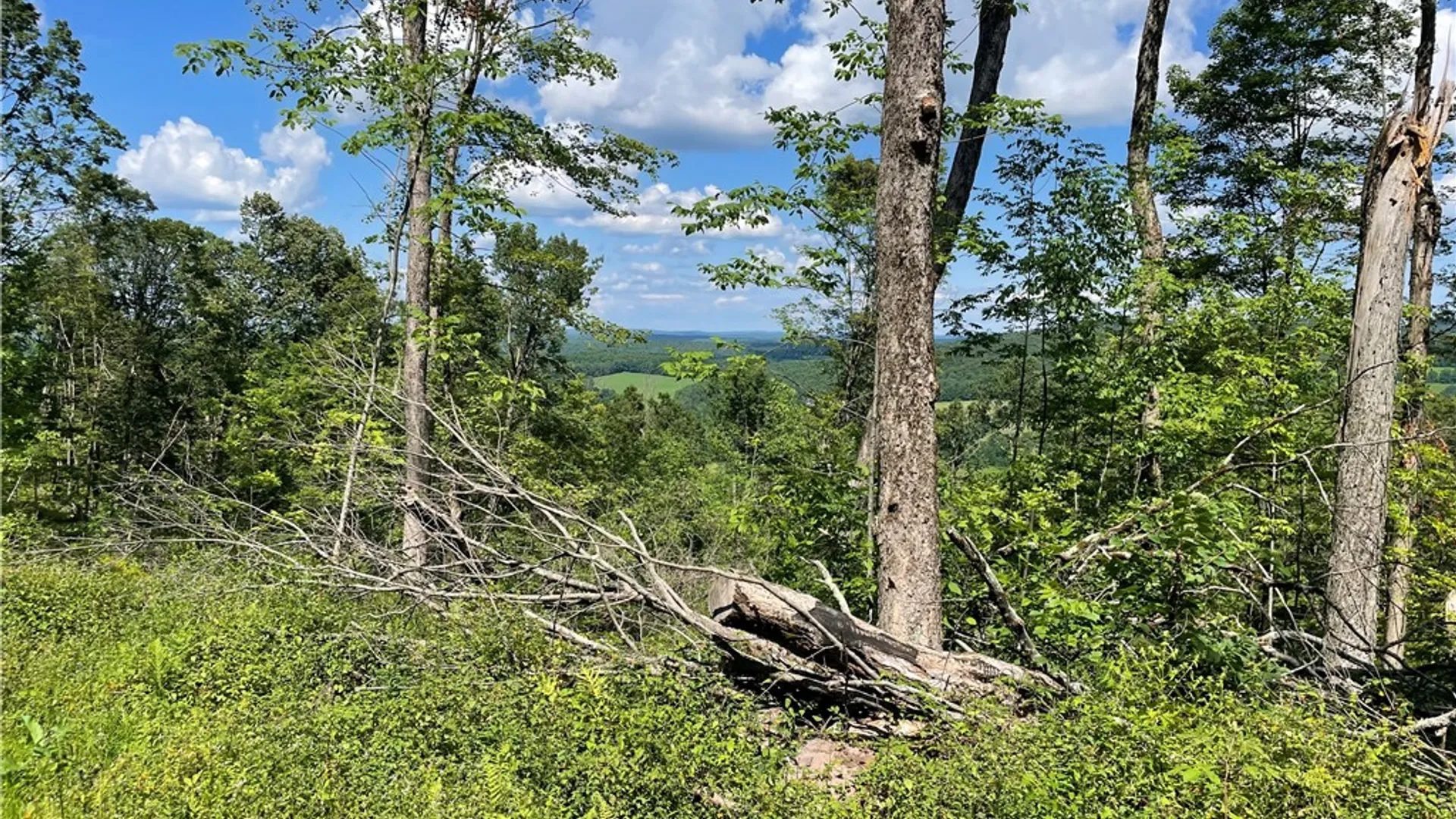 Property at County Highway 35, Milford, NY 13807 5