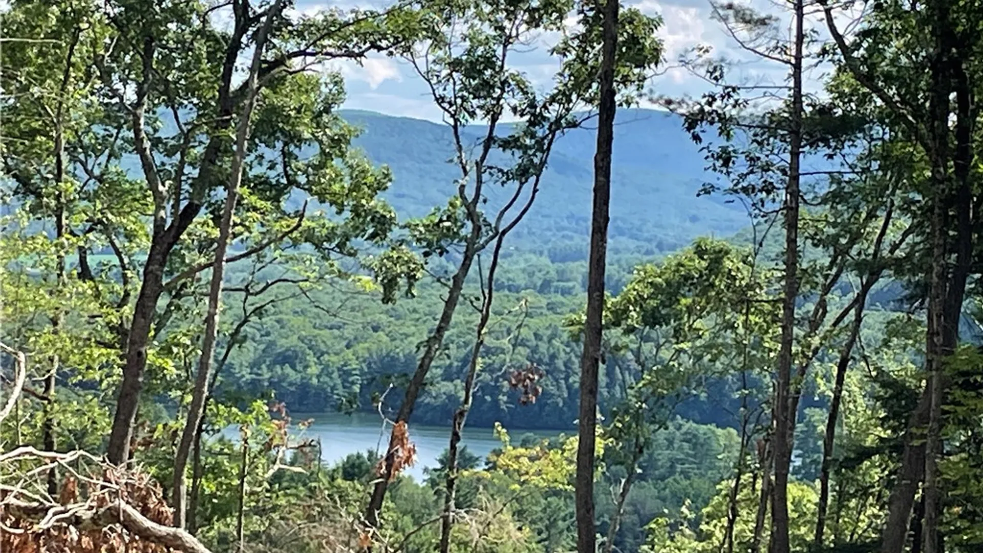 Property at County Highway 35, Milford, NY 13807 6