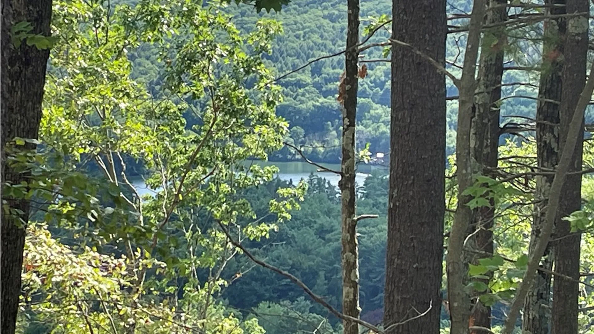 Property at County Highway 35, Milford, NY 13807 8