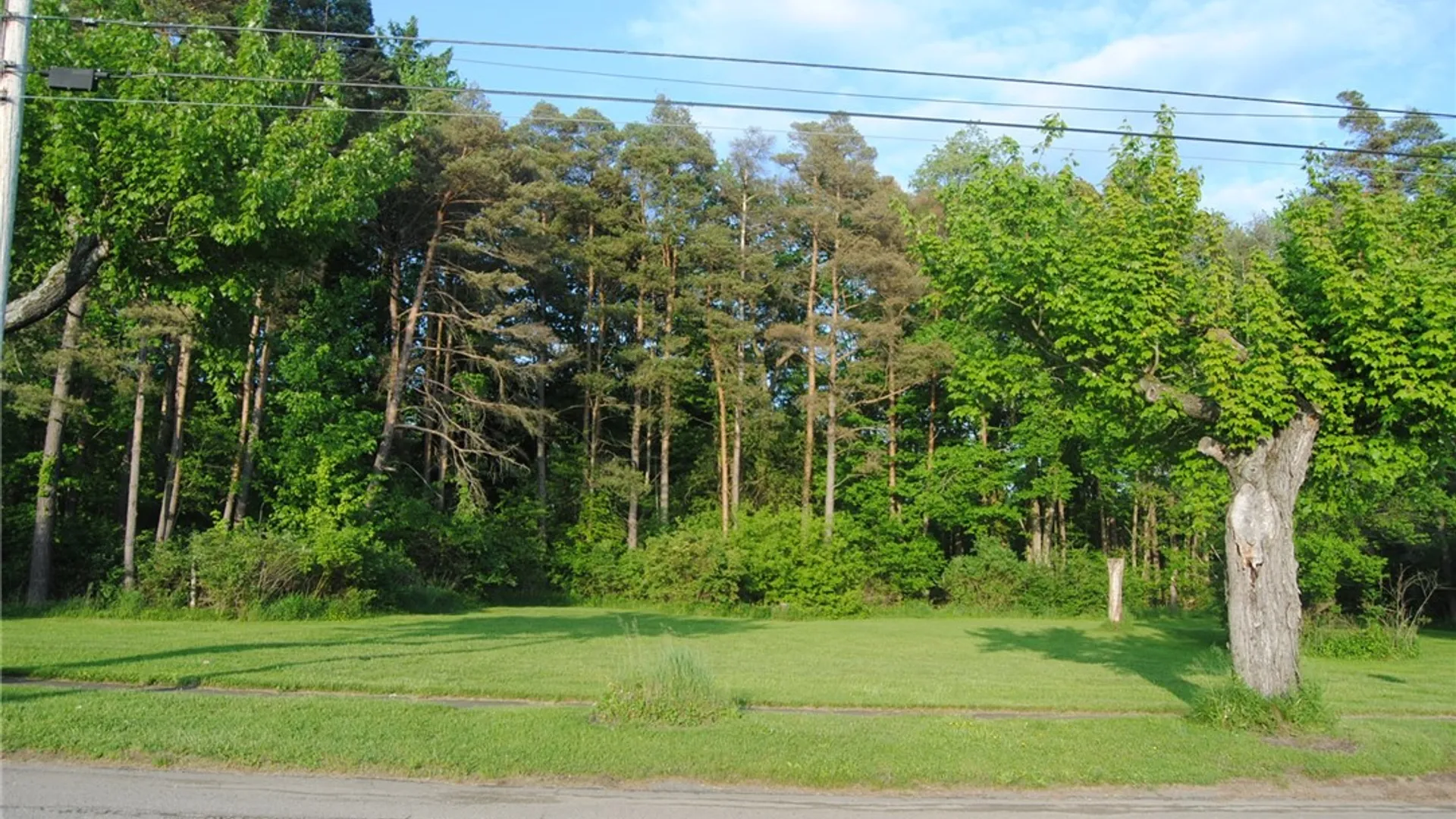 Property at 536 Park Avenue, Kane Boro, PA 16735 4
